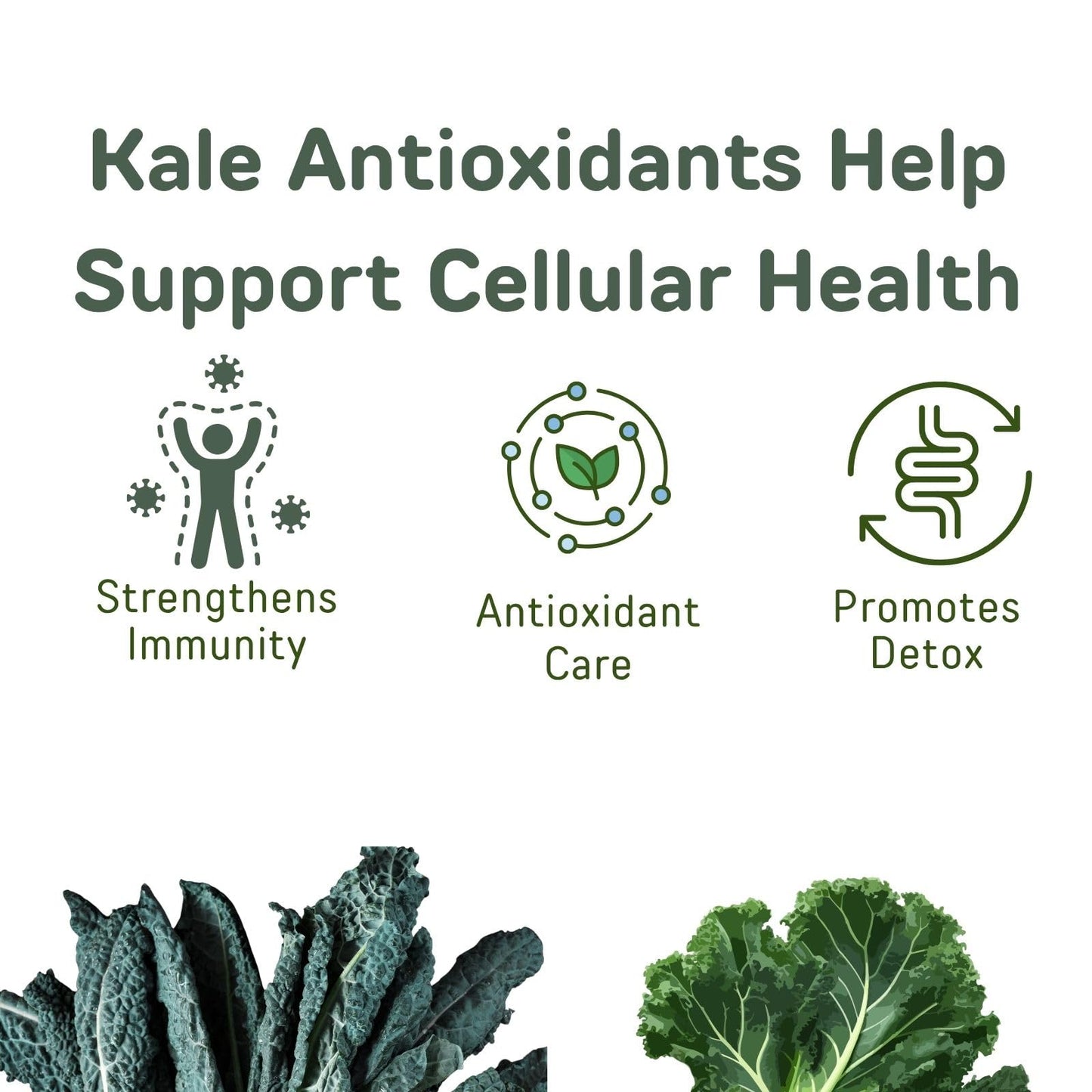 山本漢方製薬株式会社 Kale Juice Mix Probiotic Strain & Prebiotic Fiber for Digestive Balance Powder 4.23 oz