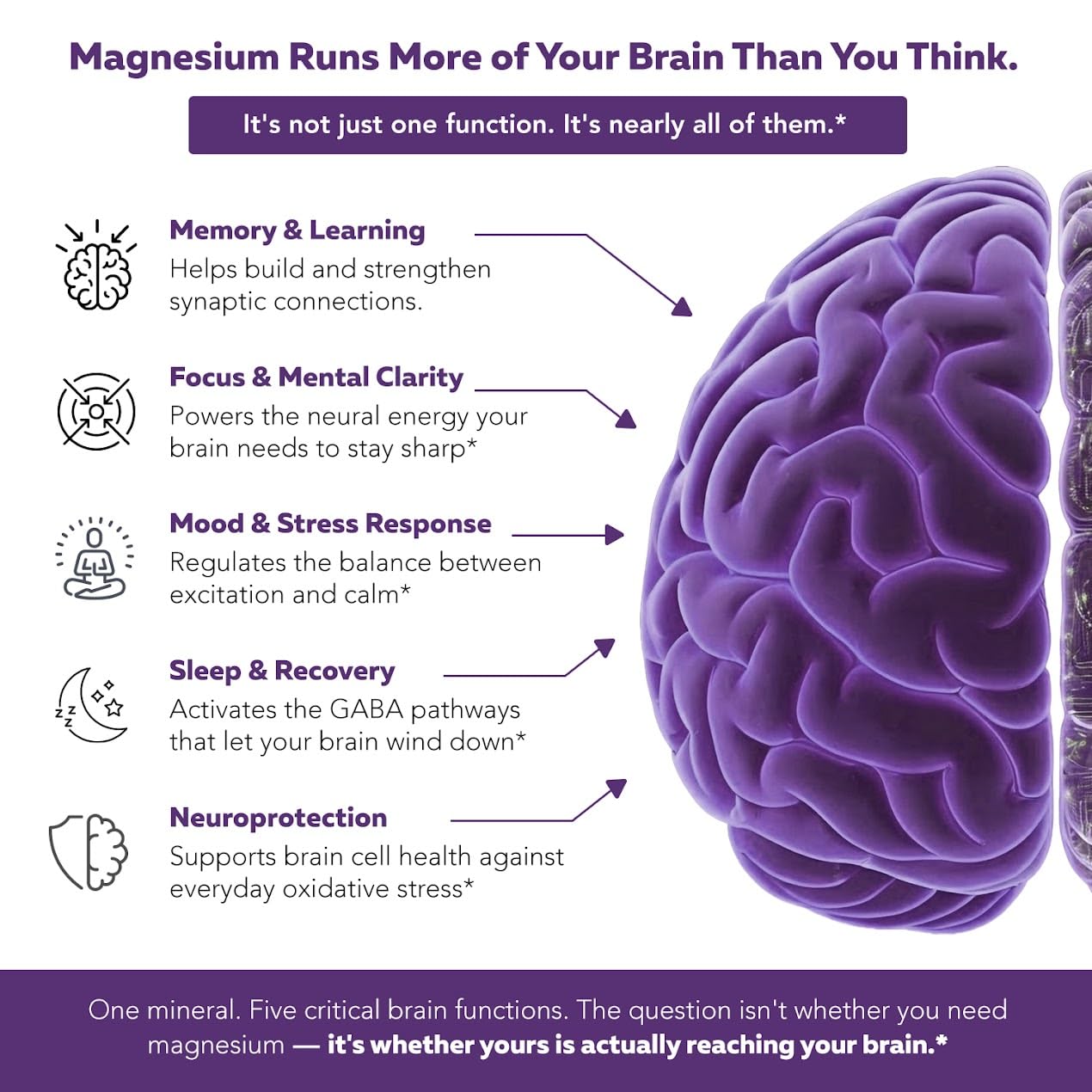 Triquetra Health Mental-Mag Magtein + ATAMg Dual-Pathway Cognitive Support Magnesium L-Threonate Complex Capsule, 90 Count