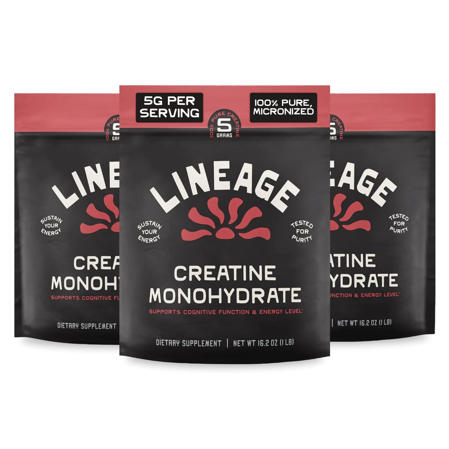 Lineage Provisions Creatine Monohydrate with Sea Salt Powder, 16-Count