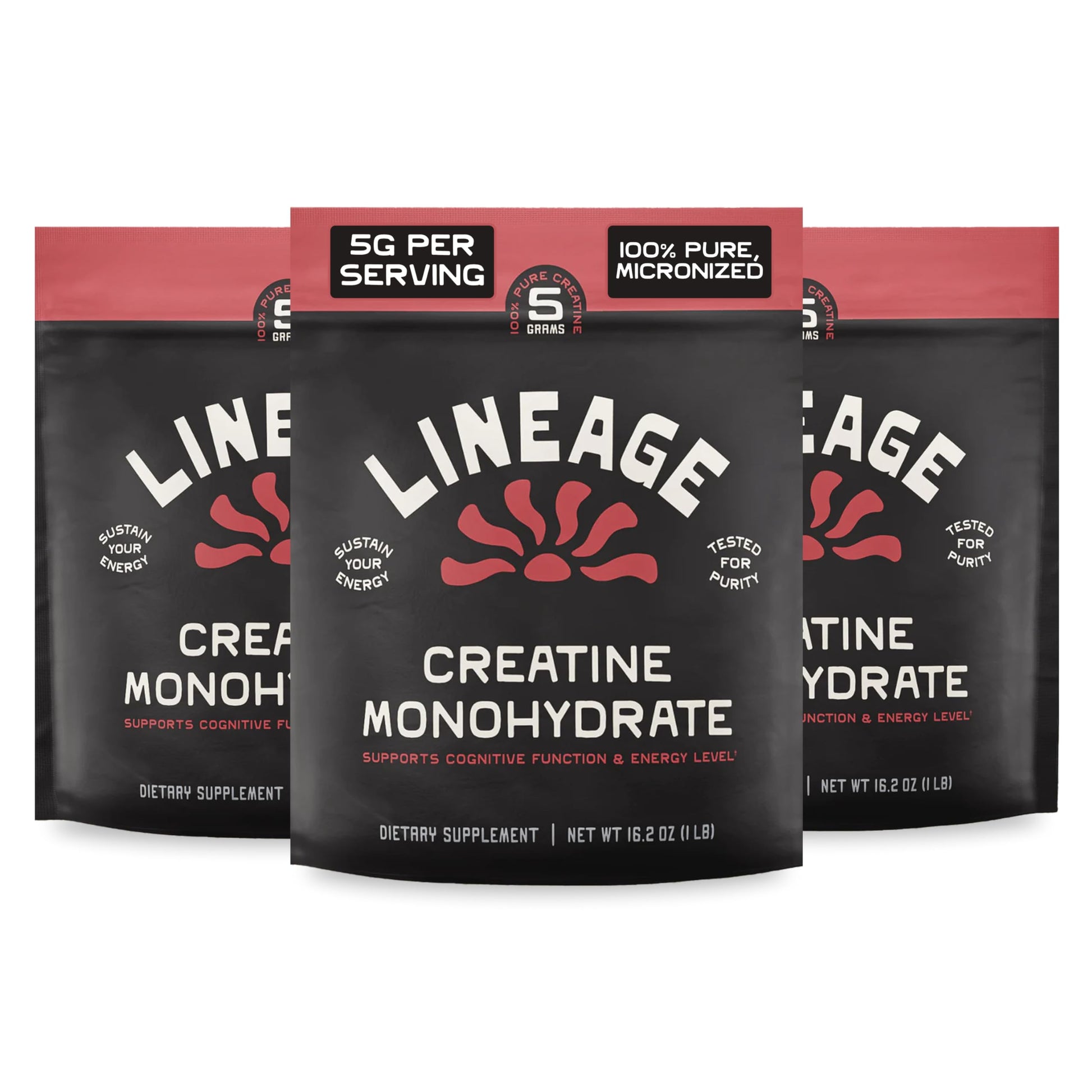Lineage Provisions Creatine Monohydrate with Sea Salt Powder, 16-Count