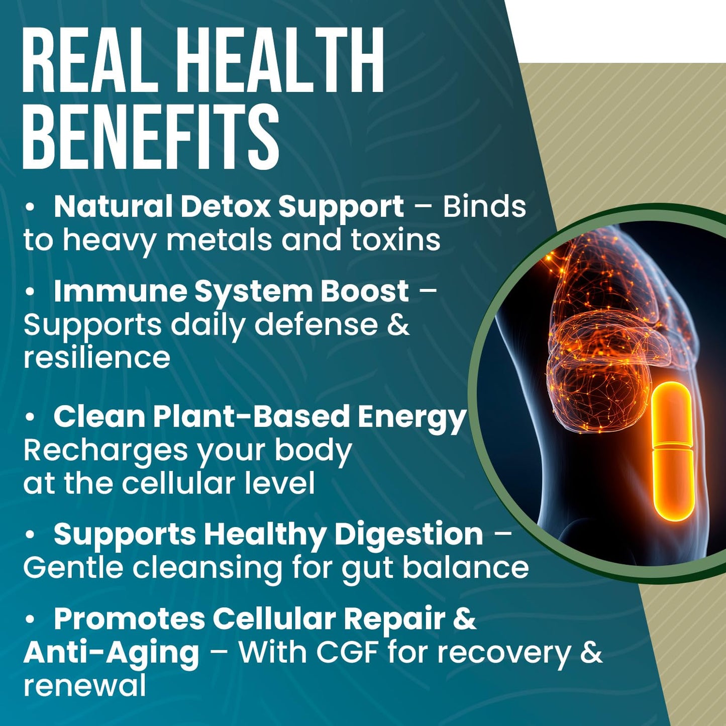 Perfect Supplements Chlorella Capsule 120 Capsules