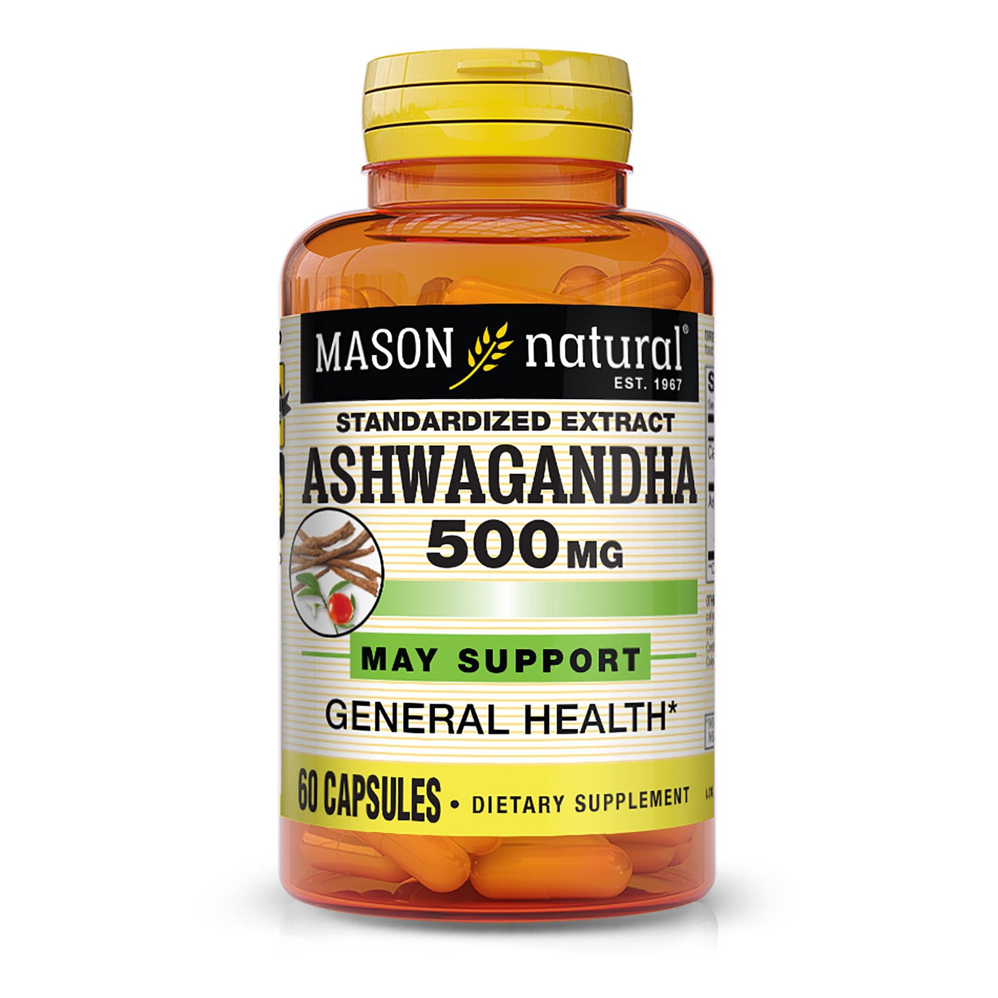 Mason Natural Ashwagandha 500 mg Capsules 60 Count