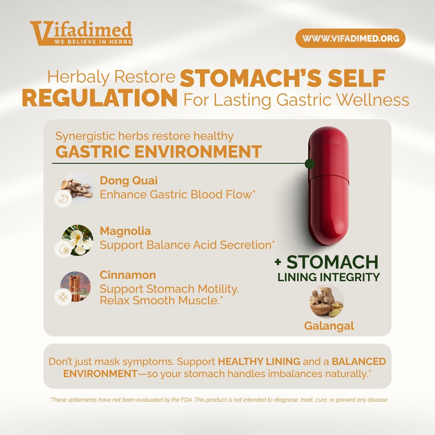 VIFADIMED Stomach Plus, 270 Capsules