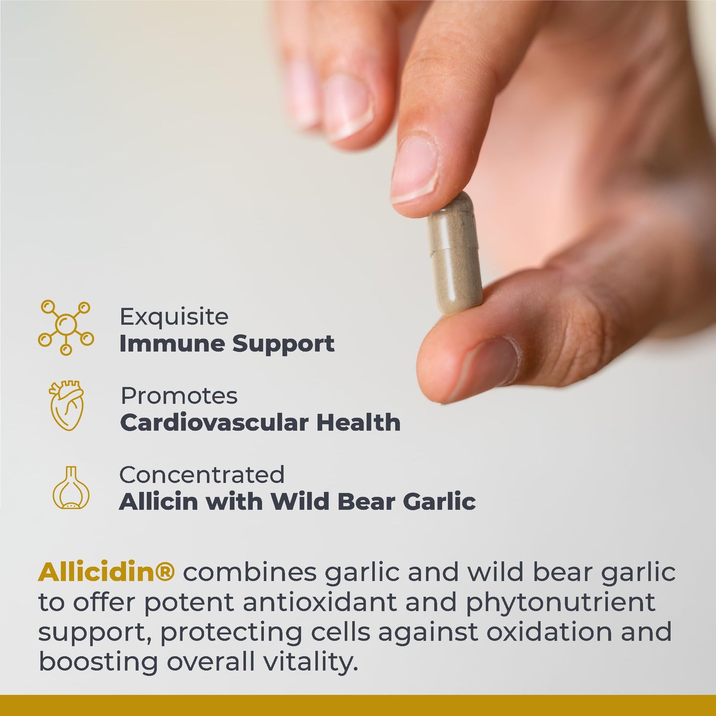 Premier Research Labs Allicidin Garlic Allicin Supplement Capsule 60 Count