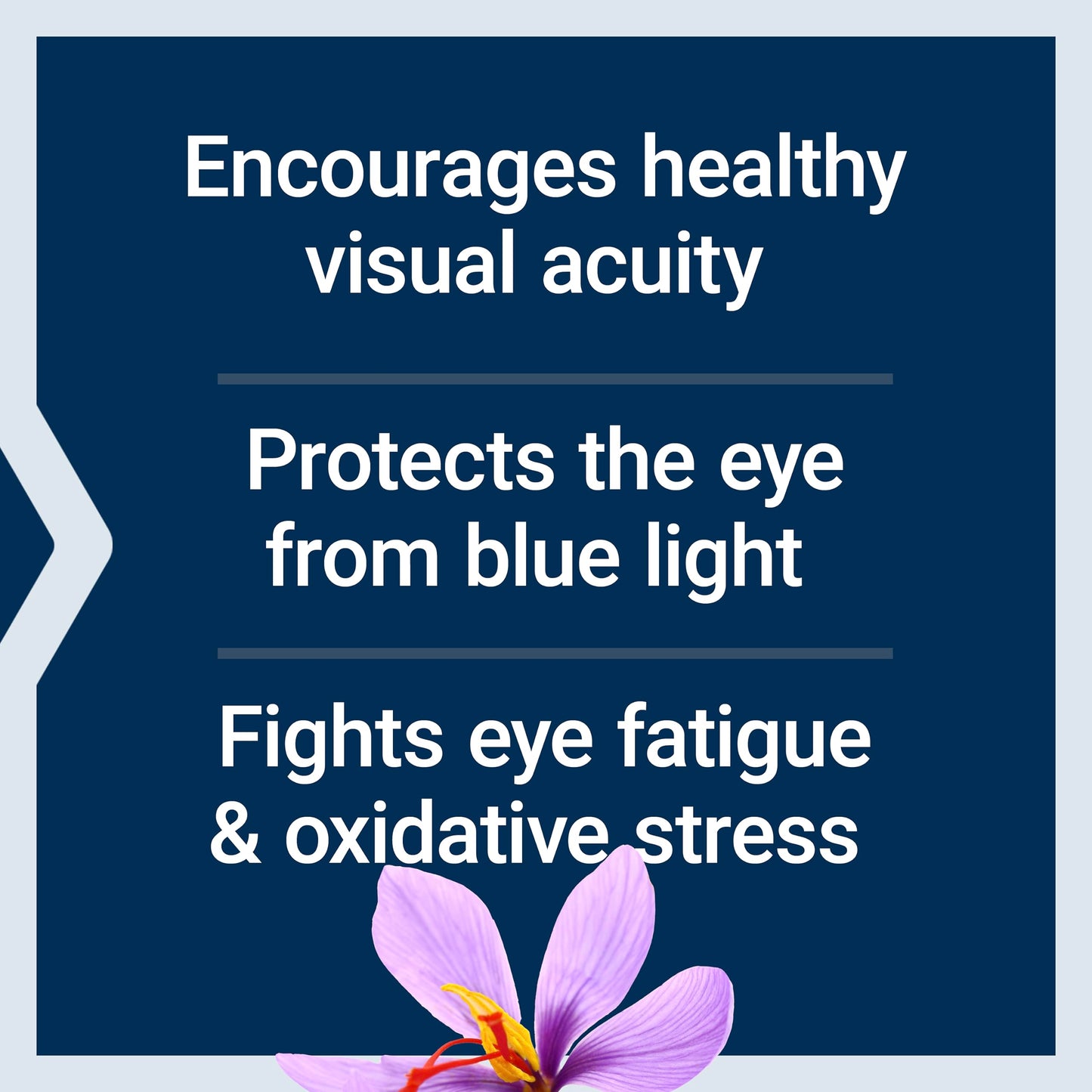 Life Extension Macuguard Eye Health Supplement with Lutein, Meso-Zeaxanthin, Saffron & Astaxanthin, 60 Count
Life Extension Super K Vitamin K1 K2 MK-7 MK-4 Vitamin C, 90 Softgels
