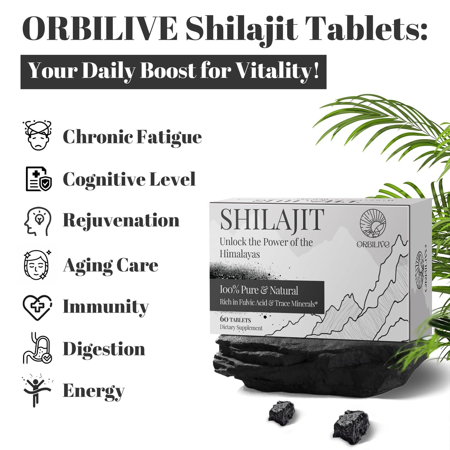 ORBILIVE Shilajit Tablets 1000 mg, 60 Count