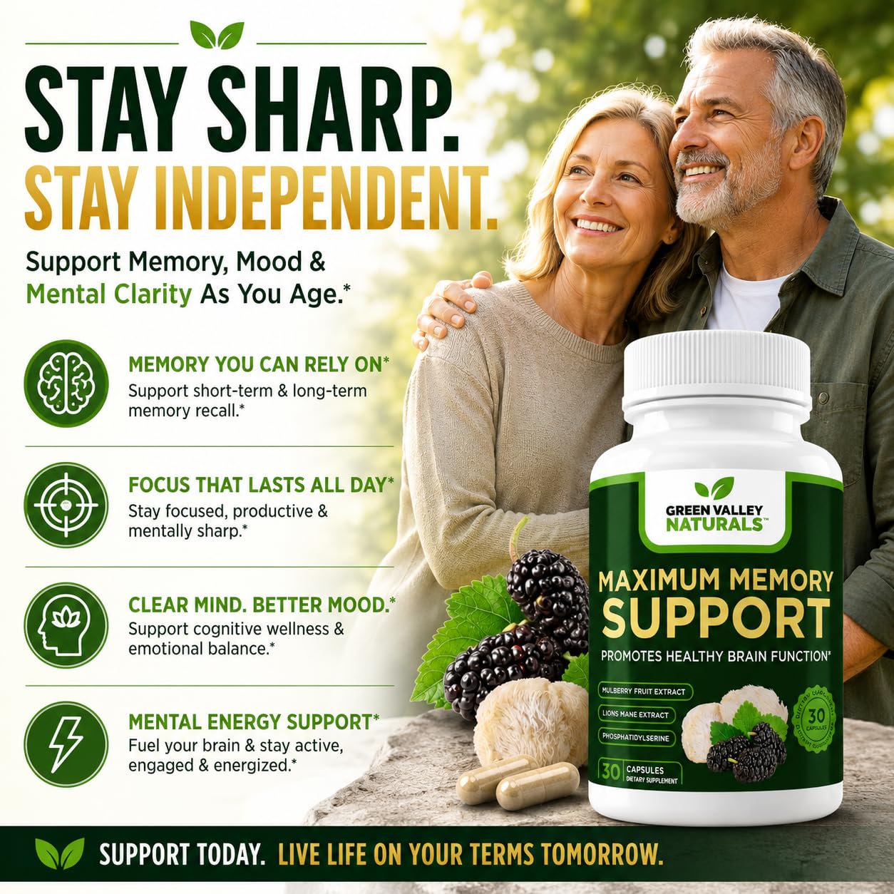 Green Valley Naturals Maximum Memory Support Cognitive Formula with Lion’s Mane, Mulberry, Phosphatidylserine & Methylated B-Vitamins Brain Health & Focus, 30 Capsules