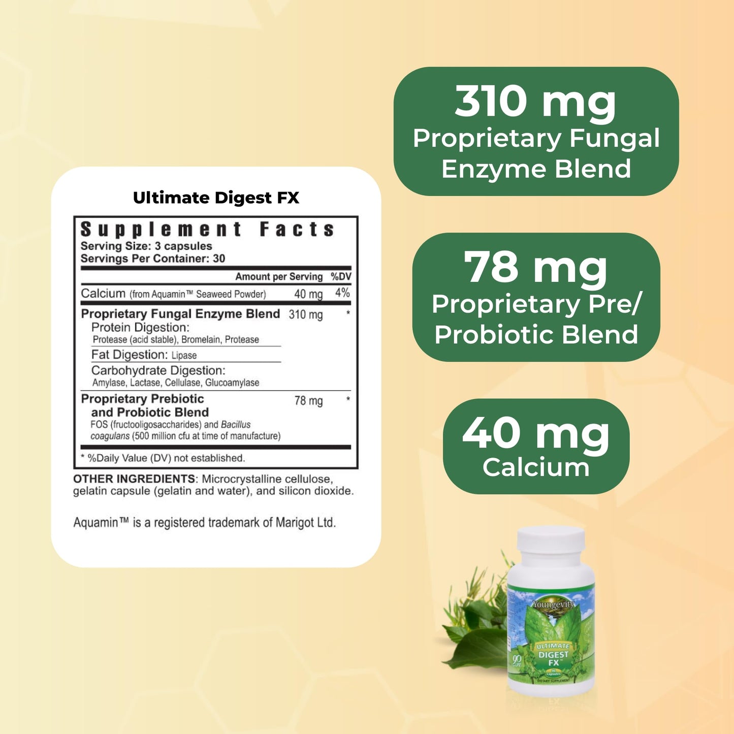 Youngevity Ultimate Digest FX Ultra Prebiotic, Probiotic, & Enzyme Plant Enzyme Blend FOS Blend Sea Minerals 15 Billion Lactobacillus Digest Aid, 90 Capsules