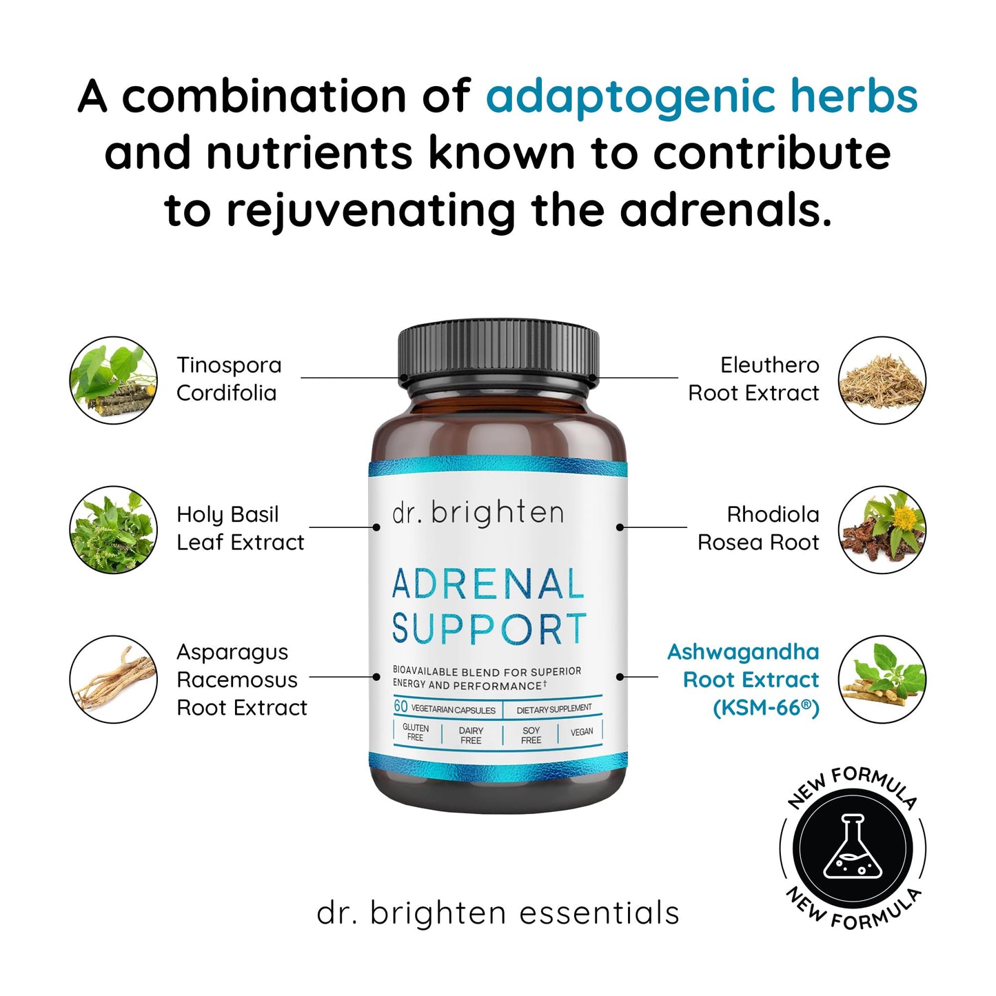 Dr. Brighten Adrenal Support Dietary Supplement with Ashwagandha to Support Healthy Energy Levels and Stress Response Capsule, 60 Count