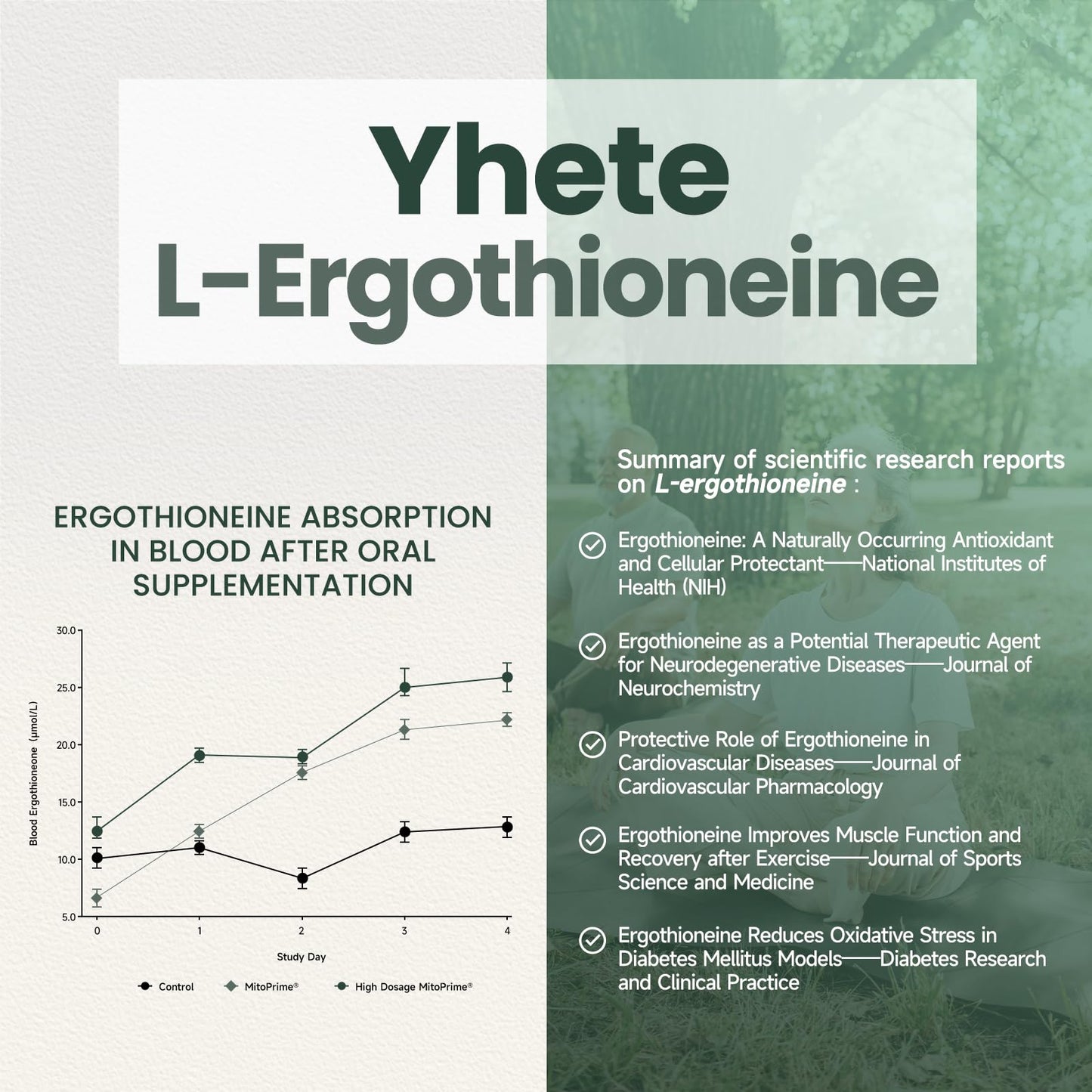 Yheso Ergothioneine Supplement 20mg High Potency Antioxidant Formula with Resveratrol, Quercetin, PQQ & Vitamin C Daily Vitality Support, 90 Capsules