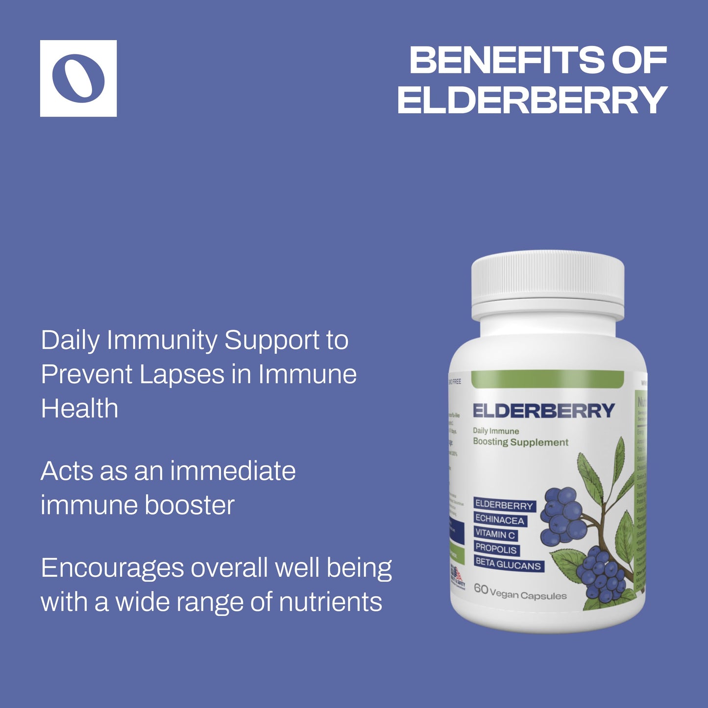 Only Nutri Labs Elderberry Dietary Supplement Propolis, Echinacea, Vitamin C & Beta Glucans Daily Wellness Capsules, 60 Capsules