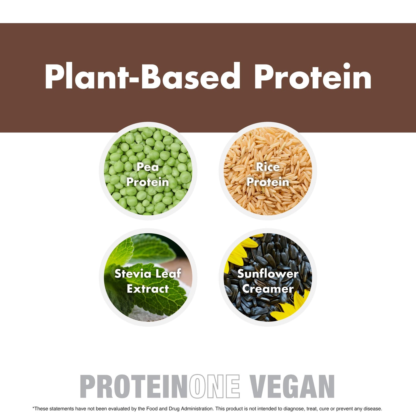 NutraOne ProteinOne Vegan Plant-Based Protein Powder 30.9 Servings