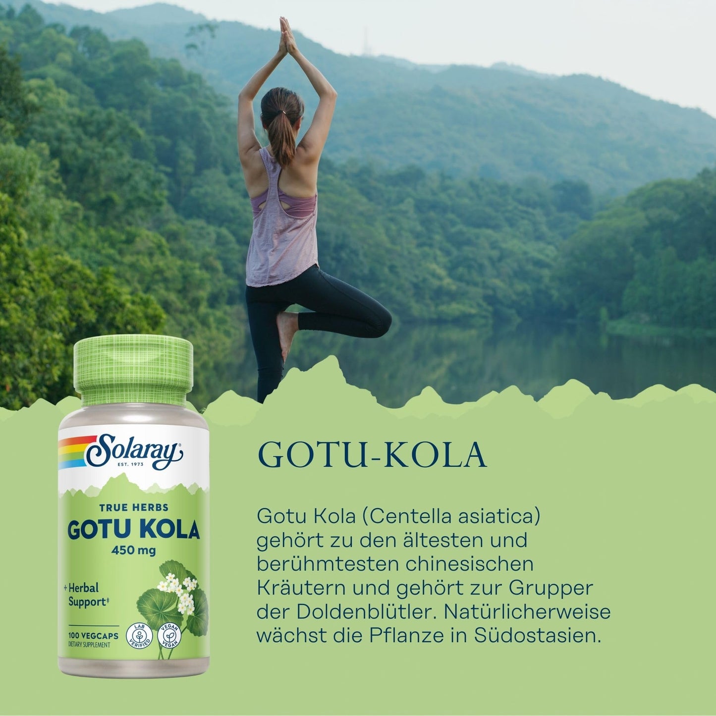 SOLARAY Gotu Kola 450mg Capsules 100 Count