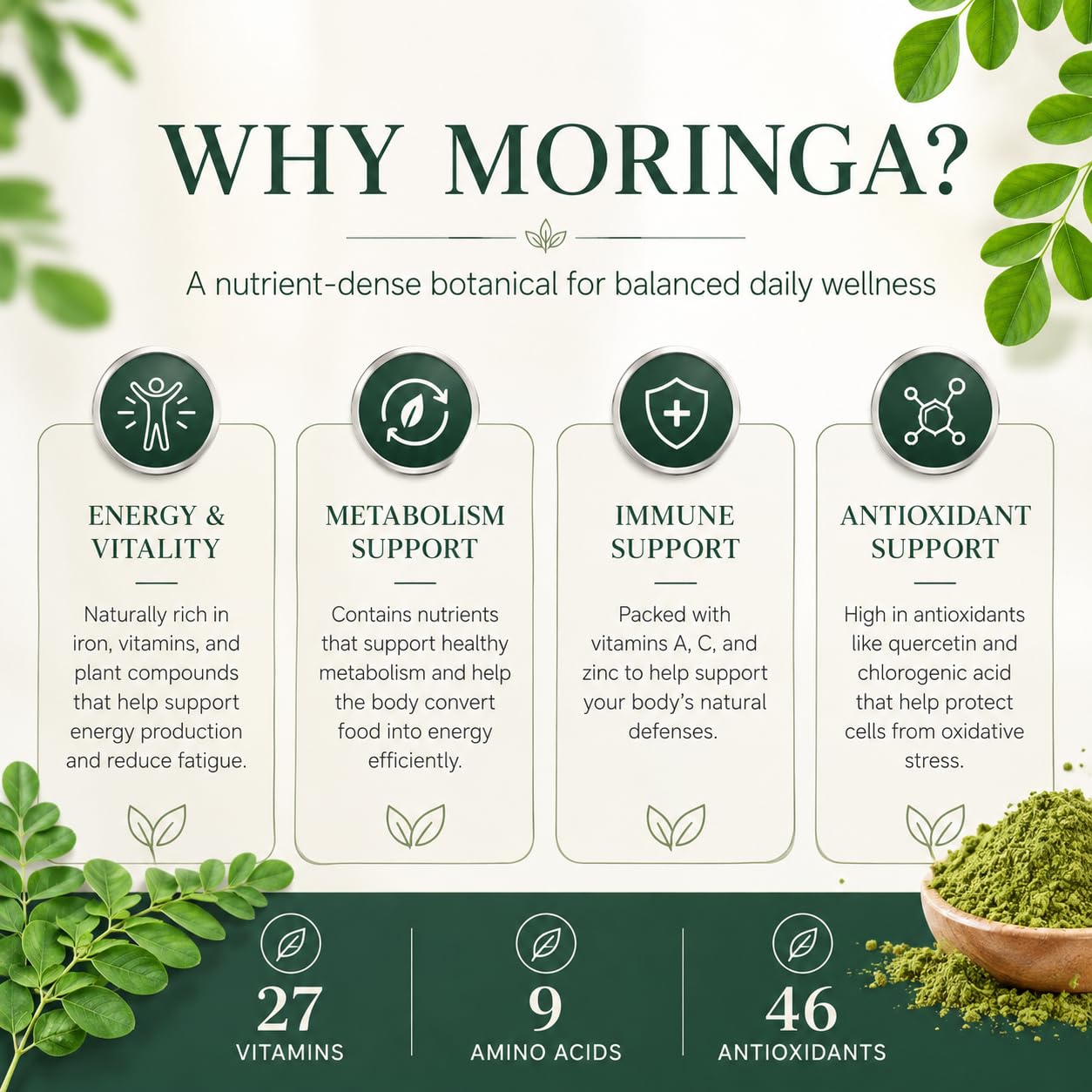 Generic Moringa Capsules 20,000 mg Strength, 1 Count