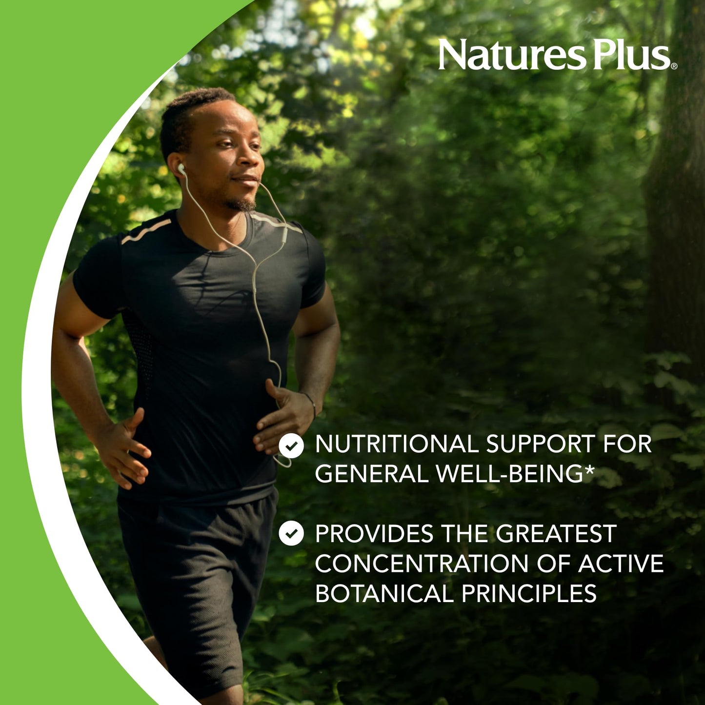 NaturesPlus Herbal Actives Turmeric Capsules, 60 Count