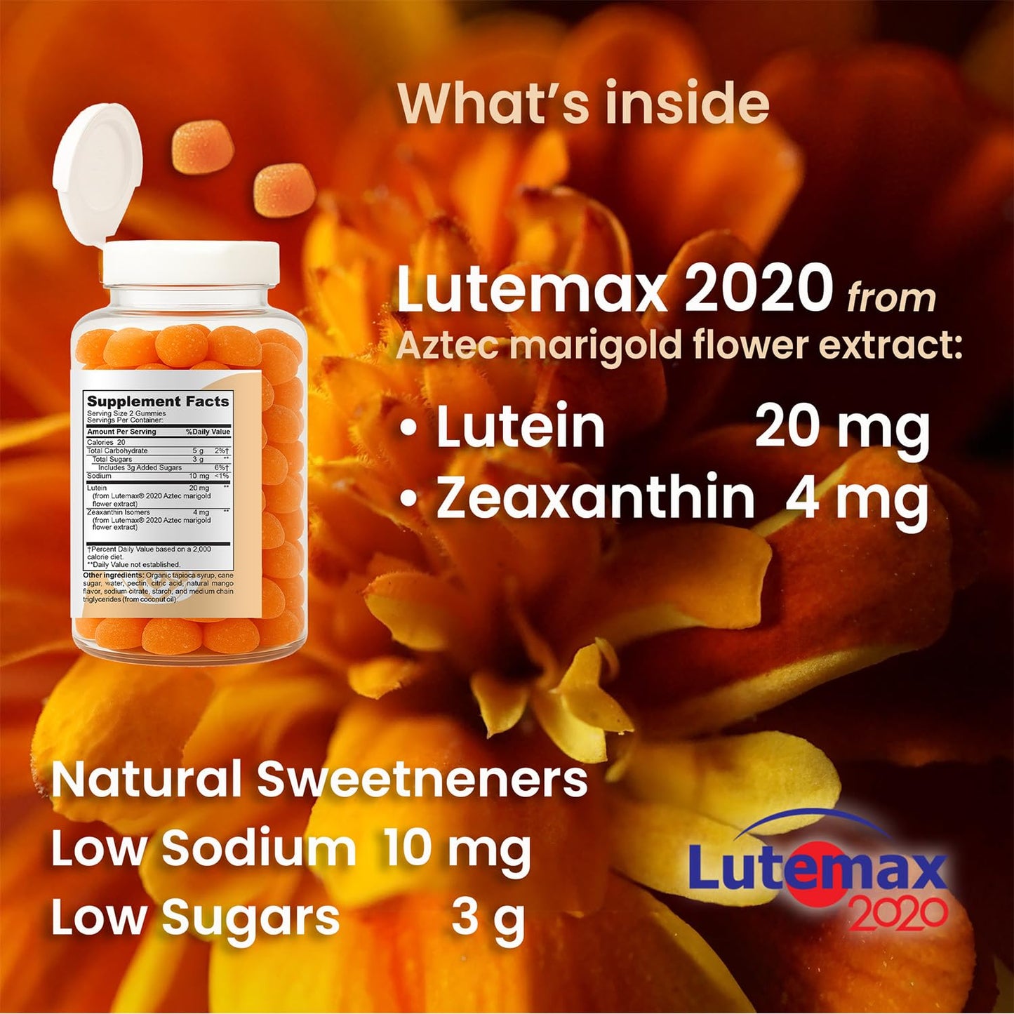 EcoIntegratives Premium Macular Eye Gummies with Lutemax 2020 – Lutein & Zeaxanthin Carotenoids for Eye Health, Blue Light & Vision Support, Real Mango Flavor, Easy Flip-Top Lid, 60 Gummies