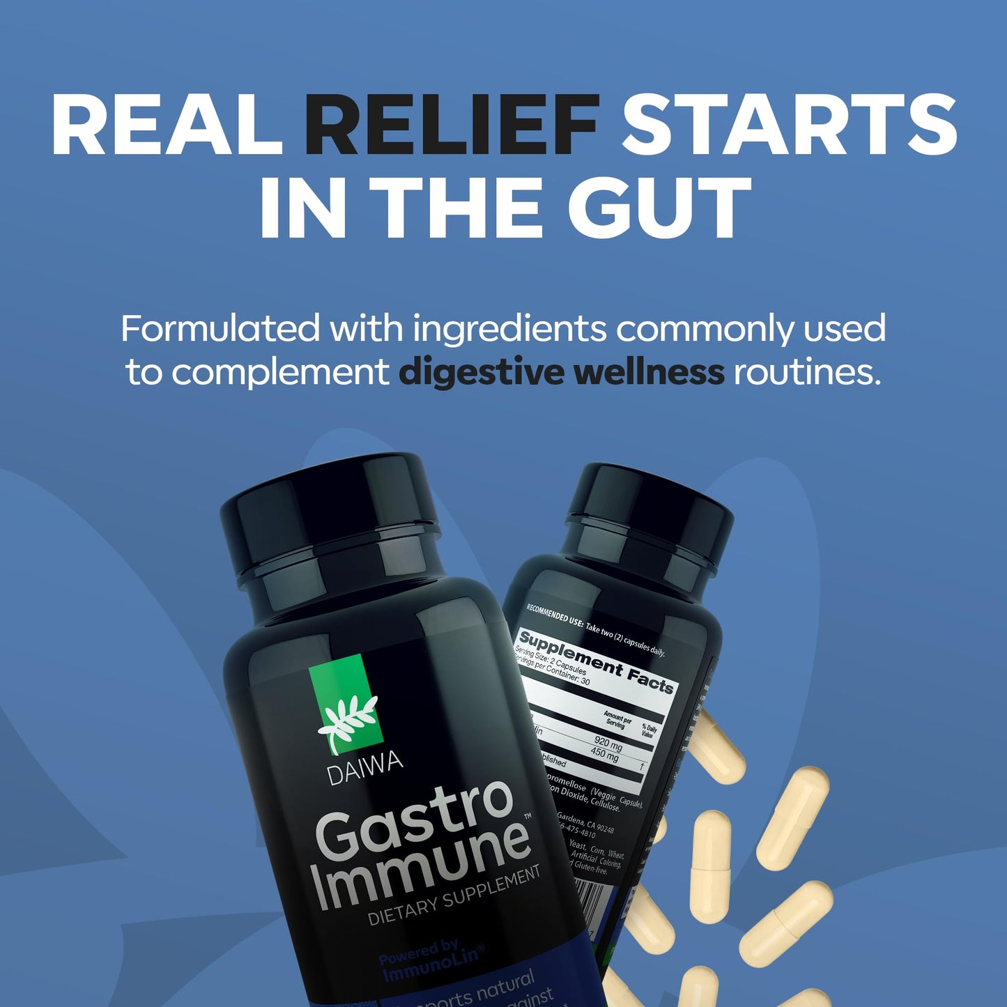 Daiwa Health Development GastroImmune - Gut Health and Immunity Supplement - Non-GMO, Protein-Based Formula for Digestive Wellness 30 Capsules