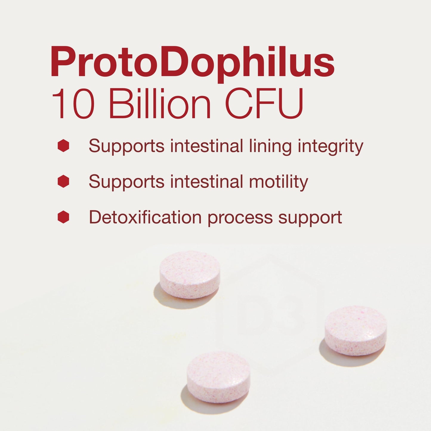 PROTOCOL FOR LIFE BALANCE Protodophilus Probiotic, 10 Billion CFU, Chewable, 60 Chewables