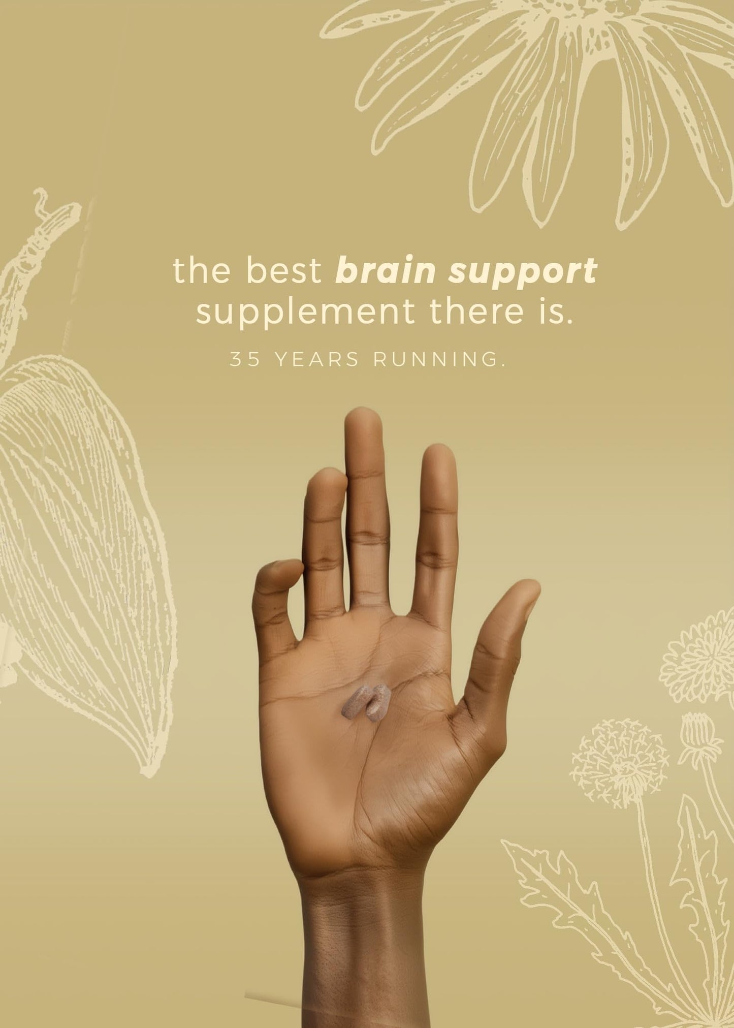 Herpanacine DiamondMIND Brain Support Tablet, 60 Count