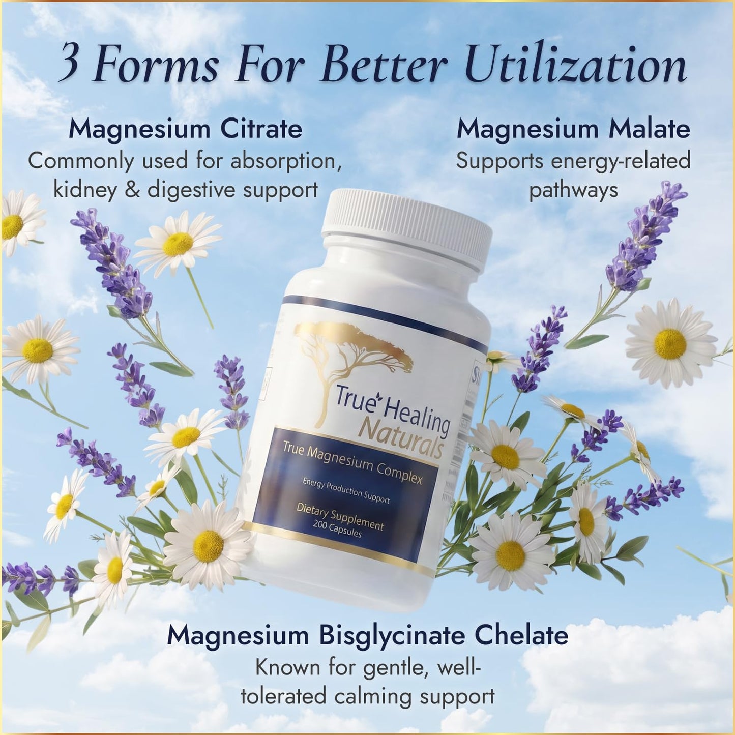 True Healing Naturals True Magnesium Complex Energy Production Support 3 Kinds of Magnesium Capsules 1 Count
