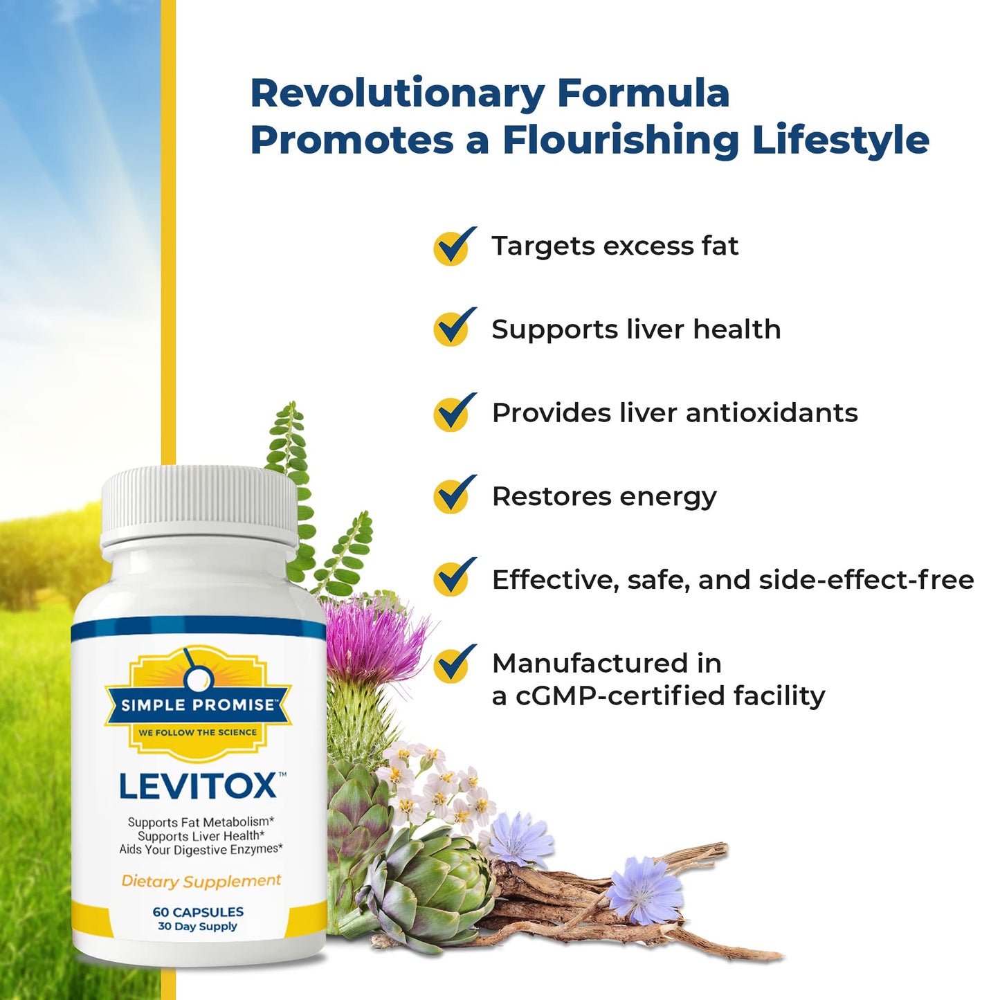 Simple Promise Cleanse & Metabolism Bundle 61 Capsules