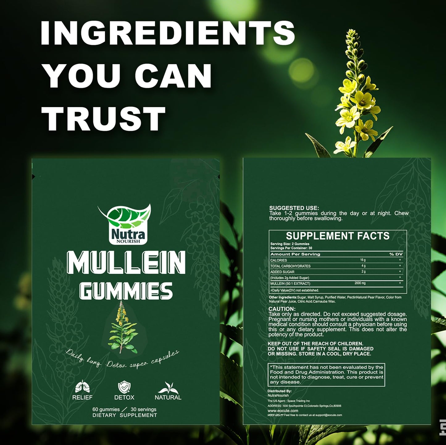 NutraNourish Mullein Gummies Gummy, 60 Count