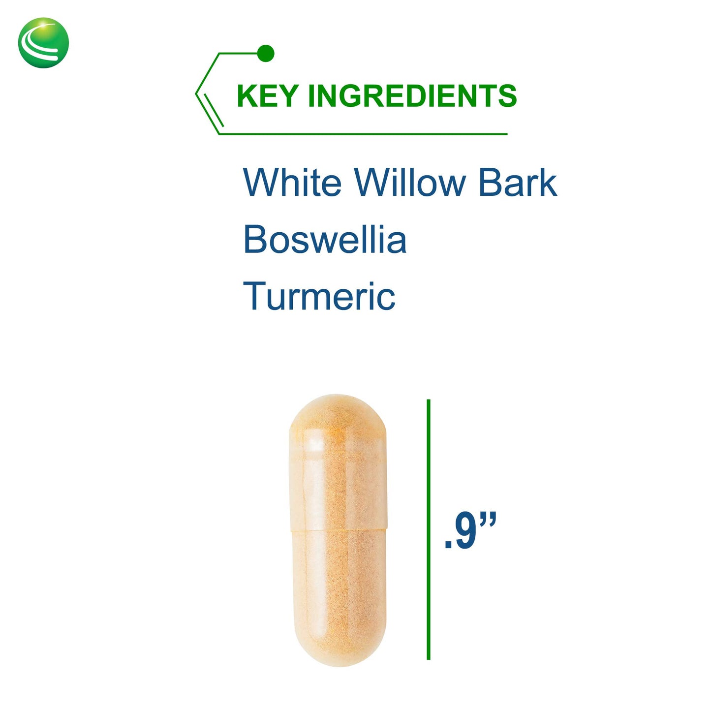 Nutra BioGenesis White Willow Forte Capsules 30