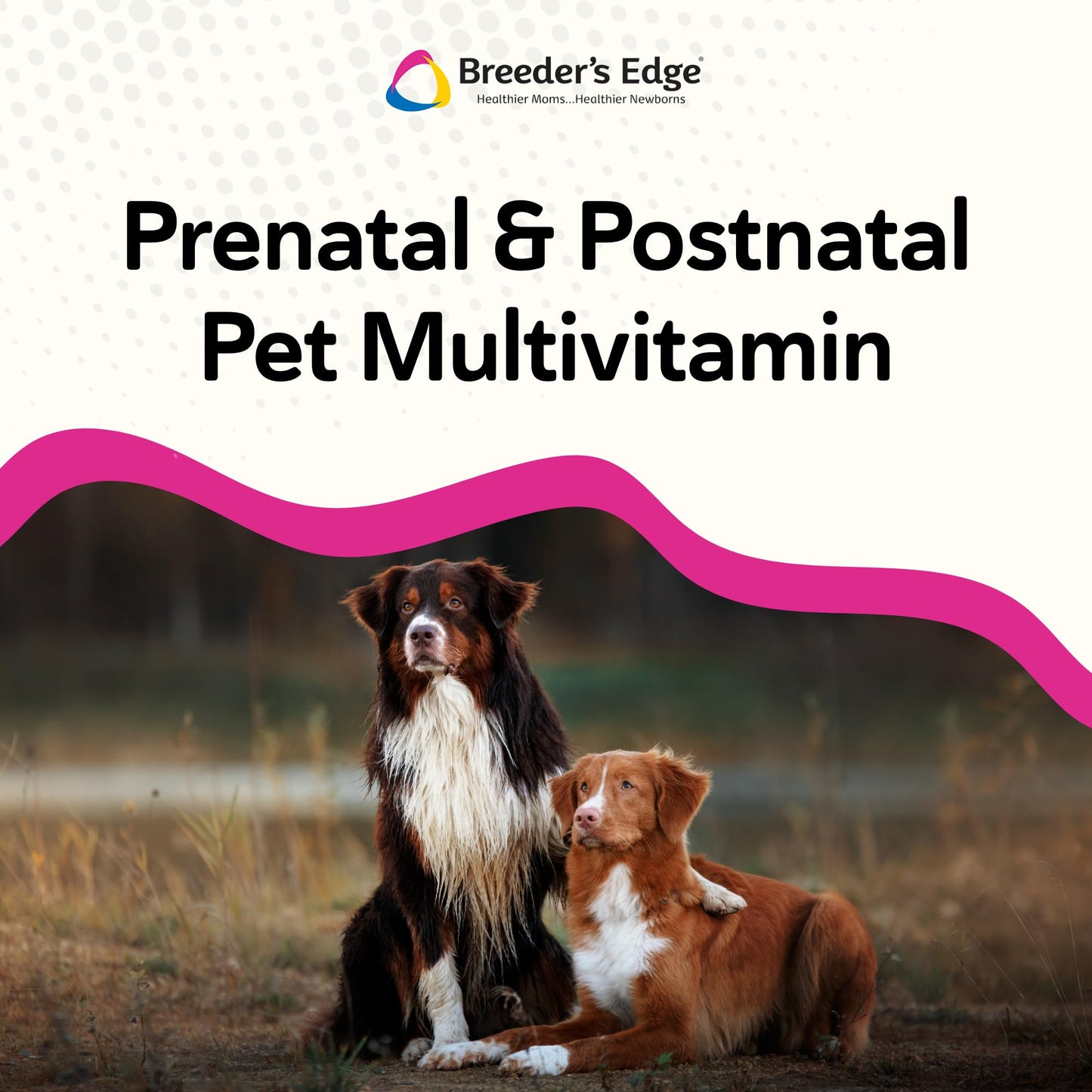 Revival Animal Health Breeder's Edge Breed to Wean Prenatal Vitamin Tablets for Female Dogs & Cats, 100 Count