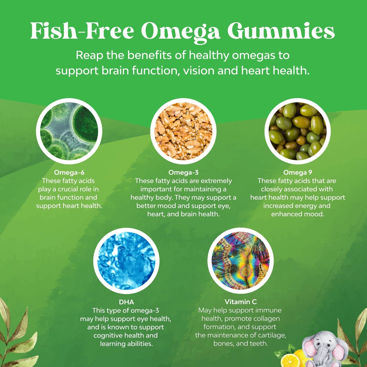 Natures Craft Kids DHA Omega 3 Gummies 60 Chews