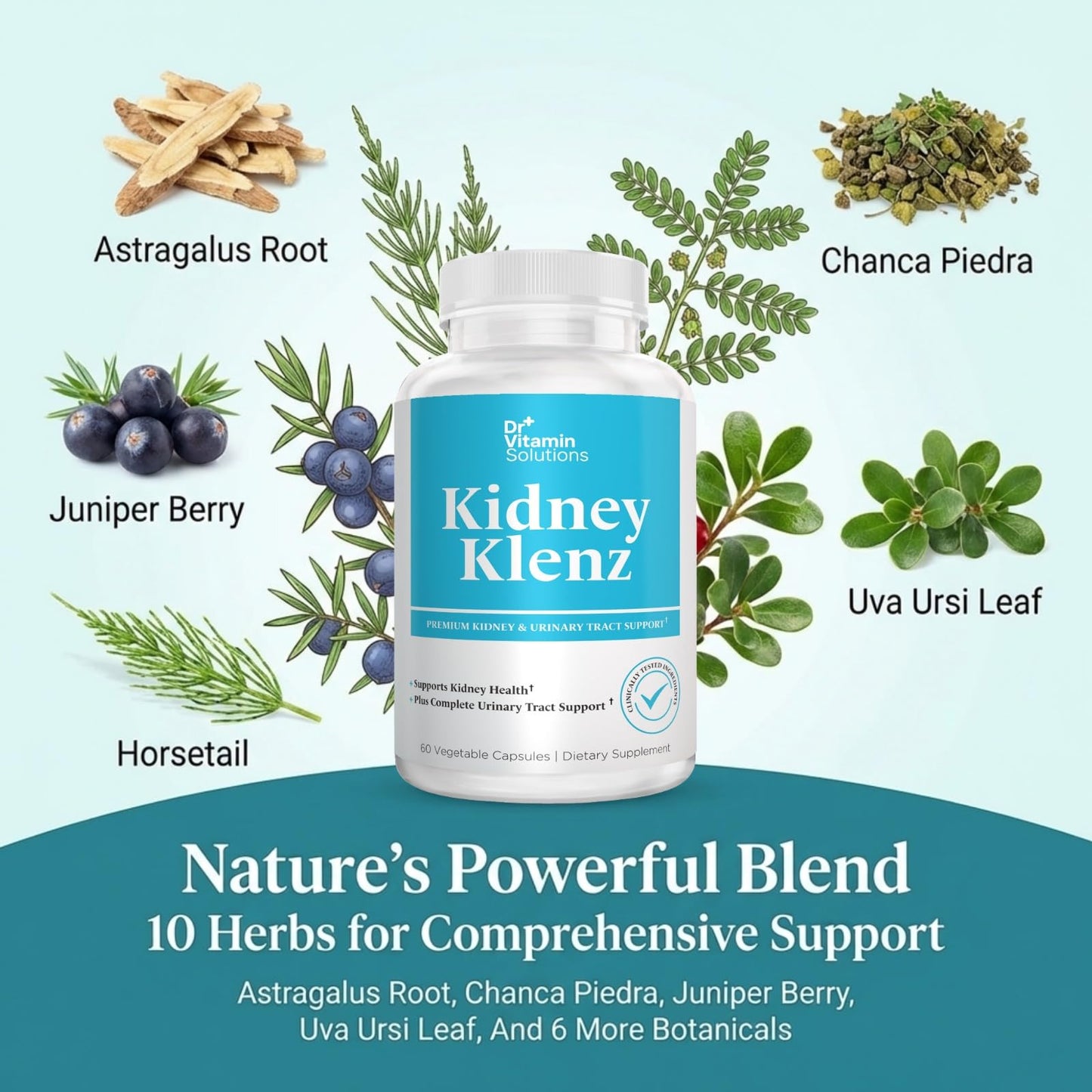 DR VITAMIN SOLUTIONS Kidney Cleanse Supplement with VitaCran Cranberry Extract – Premium Kidney & Urinary Tract Support with Chanca Piedra, Uva Ursi, Astragalus, Horsetail, Nettle & Juniper – Non-GMO, 60 Capsules