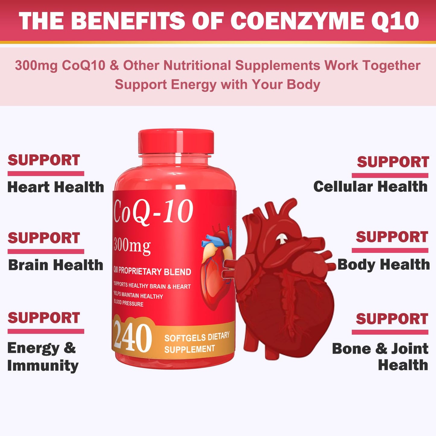 Dr. HR CoQ10 300mg Softgel 240 Count