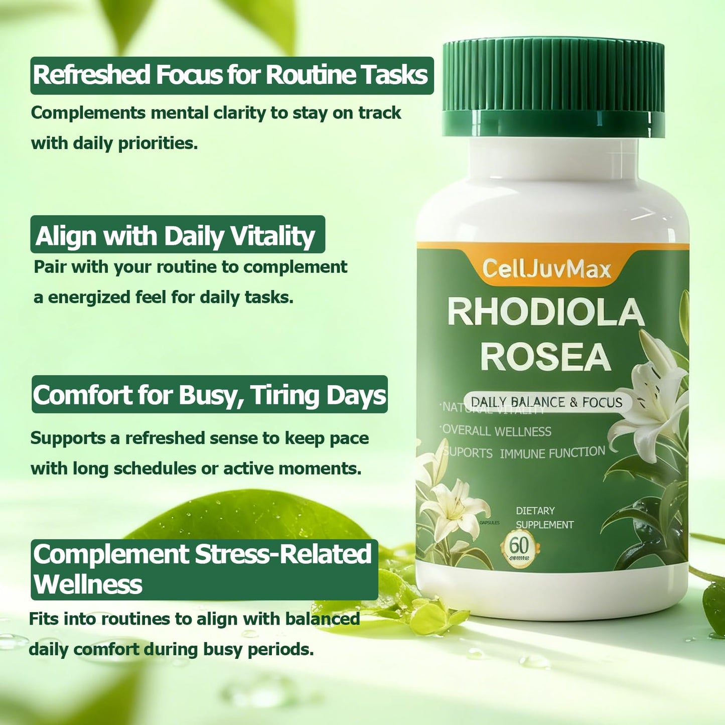 PBZPBZ Rhodiola Rosea 500mg Capsules, 1 Count