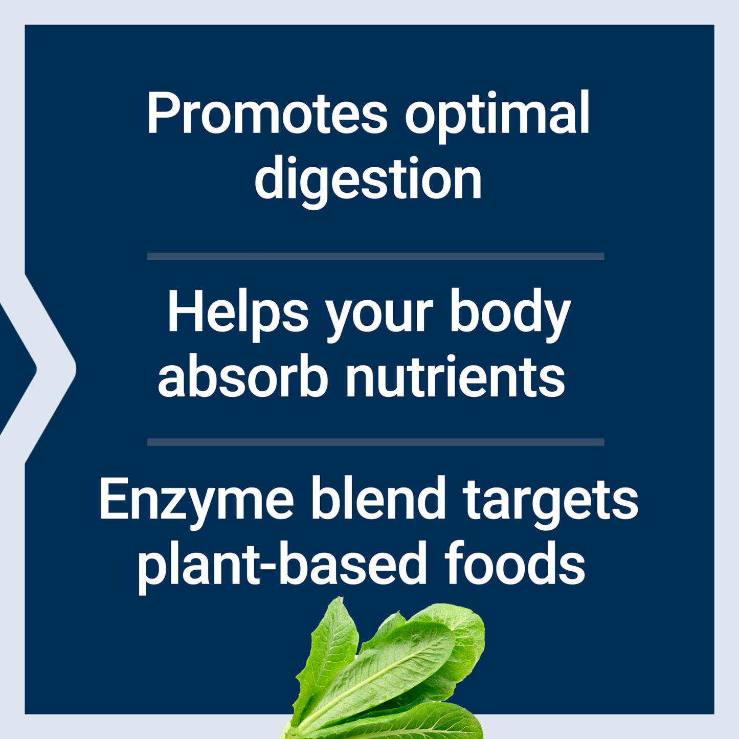 Life Extension Digestive Enzymes (60 Vegetarian Capsules) & High Potency Multi-Vitamin Supplement (120 Tablets) Bundle, 180 Total Units