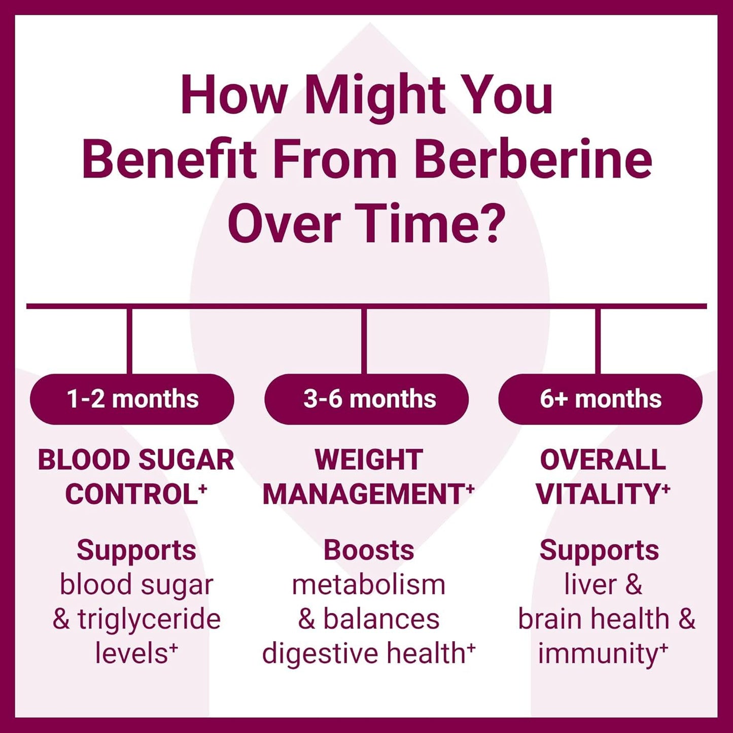 VXICDE Berberine HCl 500mg Vegetarian Capsules, 60 Count