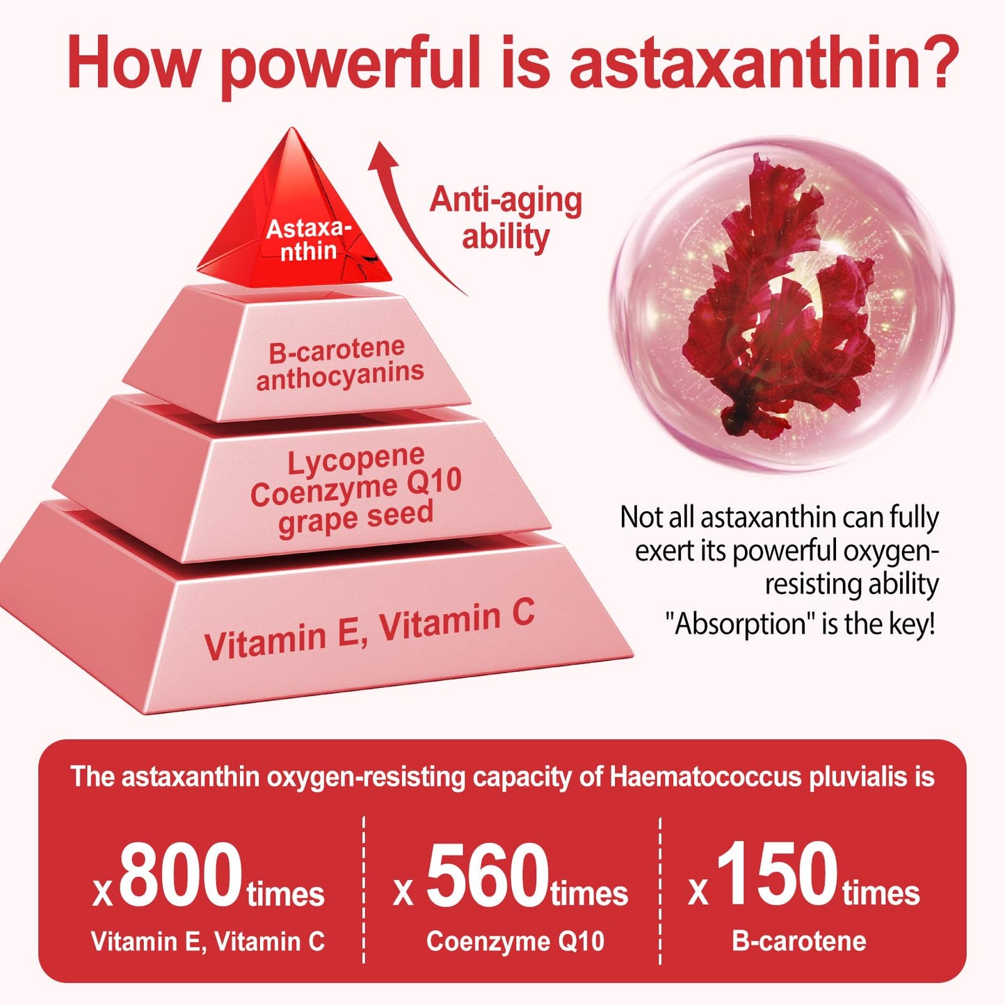 Buyourtaste Astaxanthin 12mg Softgels 120 Count