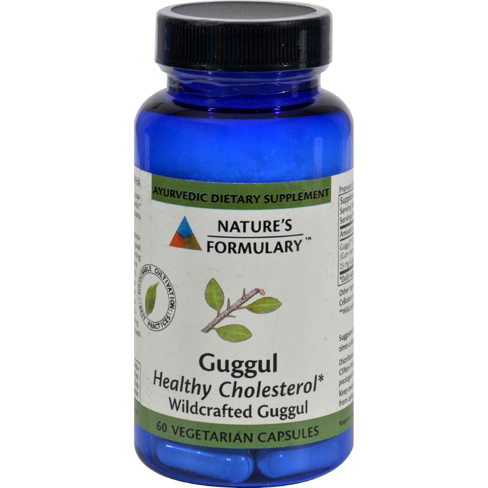 Nature's Formulary Guggul Fat Metabolism 60 Capsules