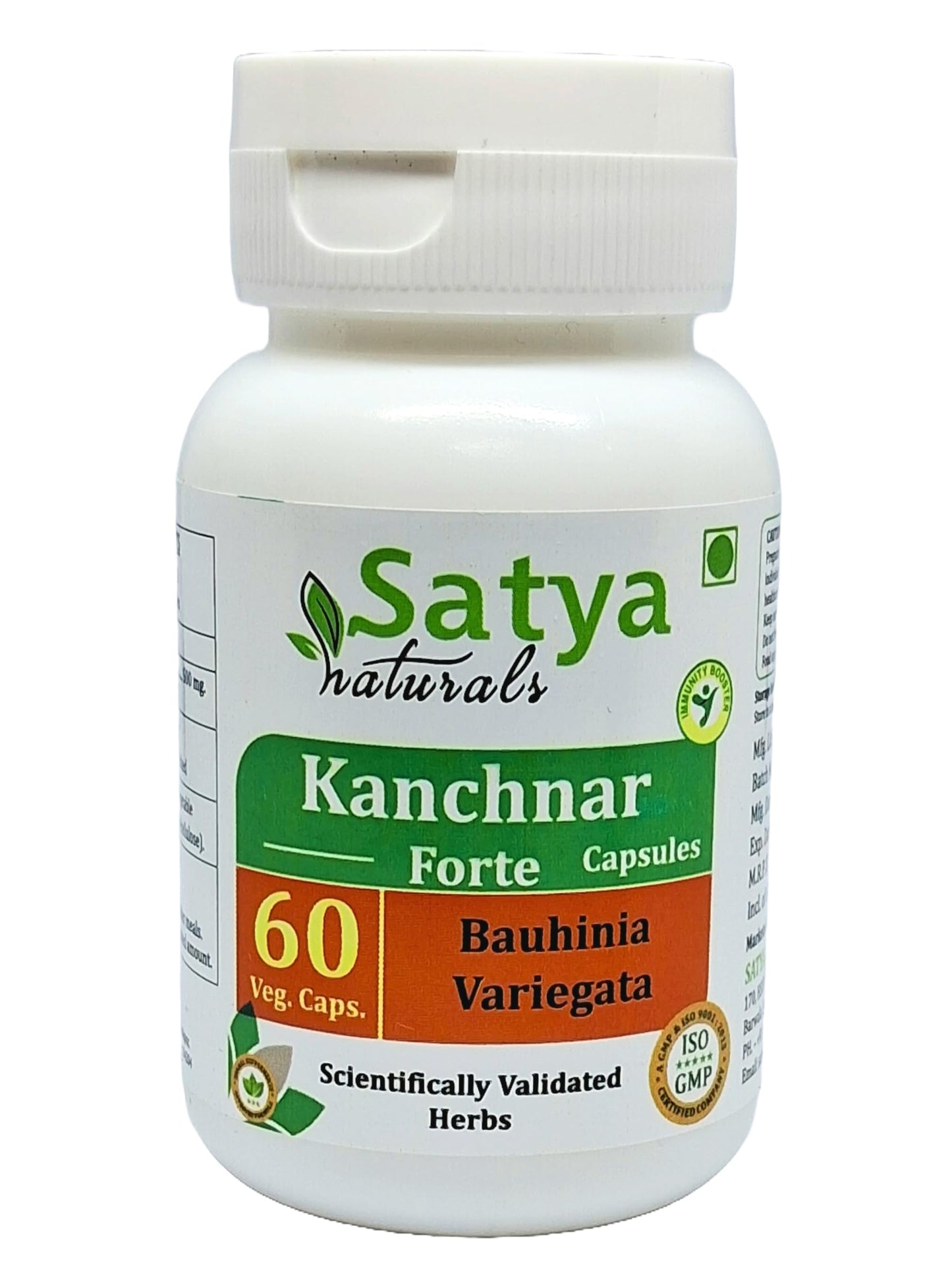 Satya Naturals Kanchnar Forte 500 mg Capsules, 240 Count
