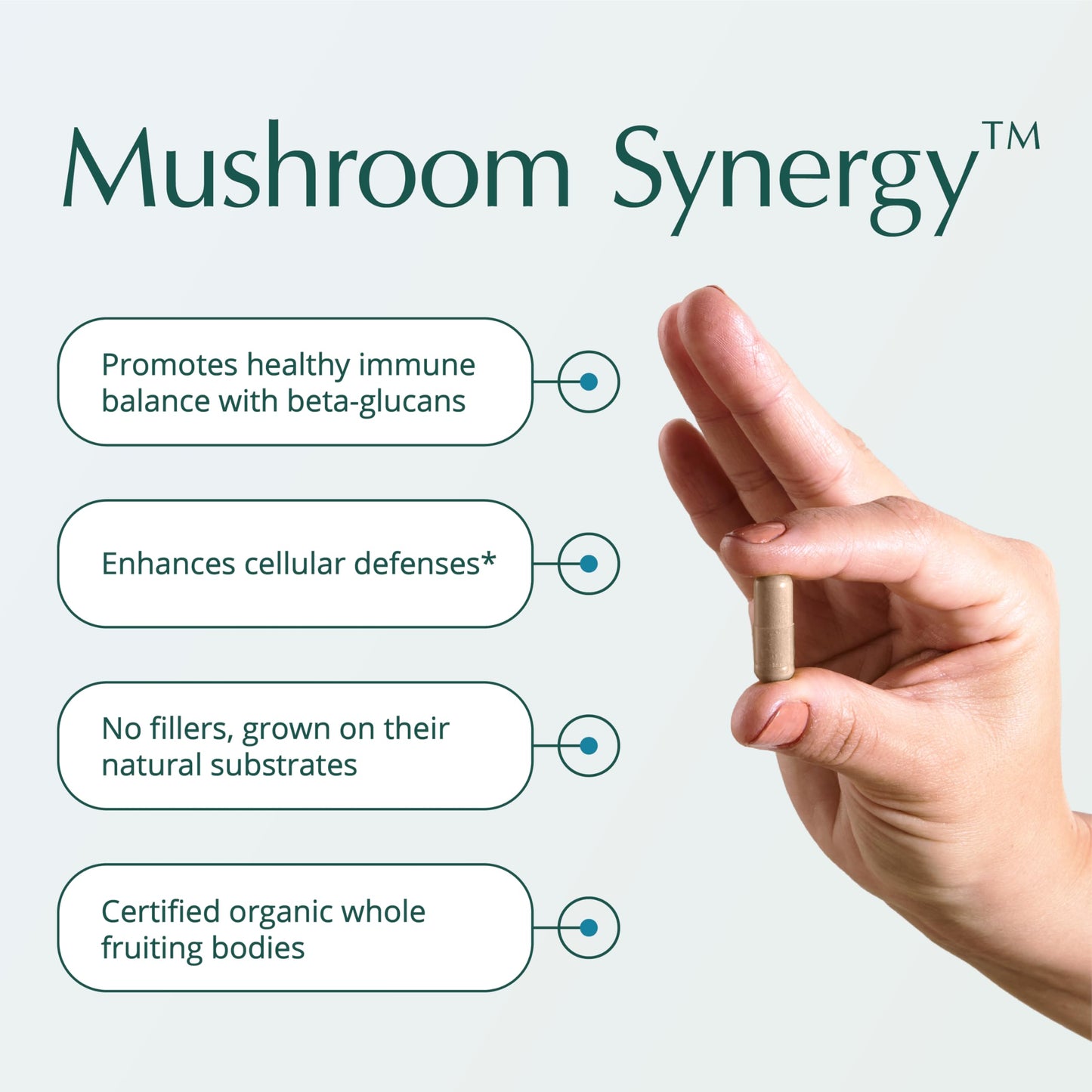 Natura Health Products Mushroom Synergy Turkey Tail Reishi & Chaga Capsule 180 Count
