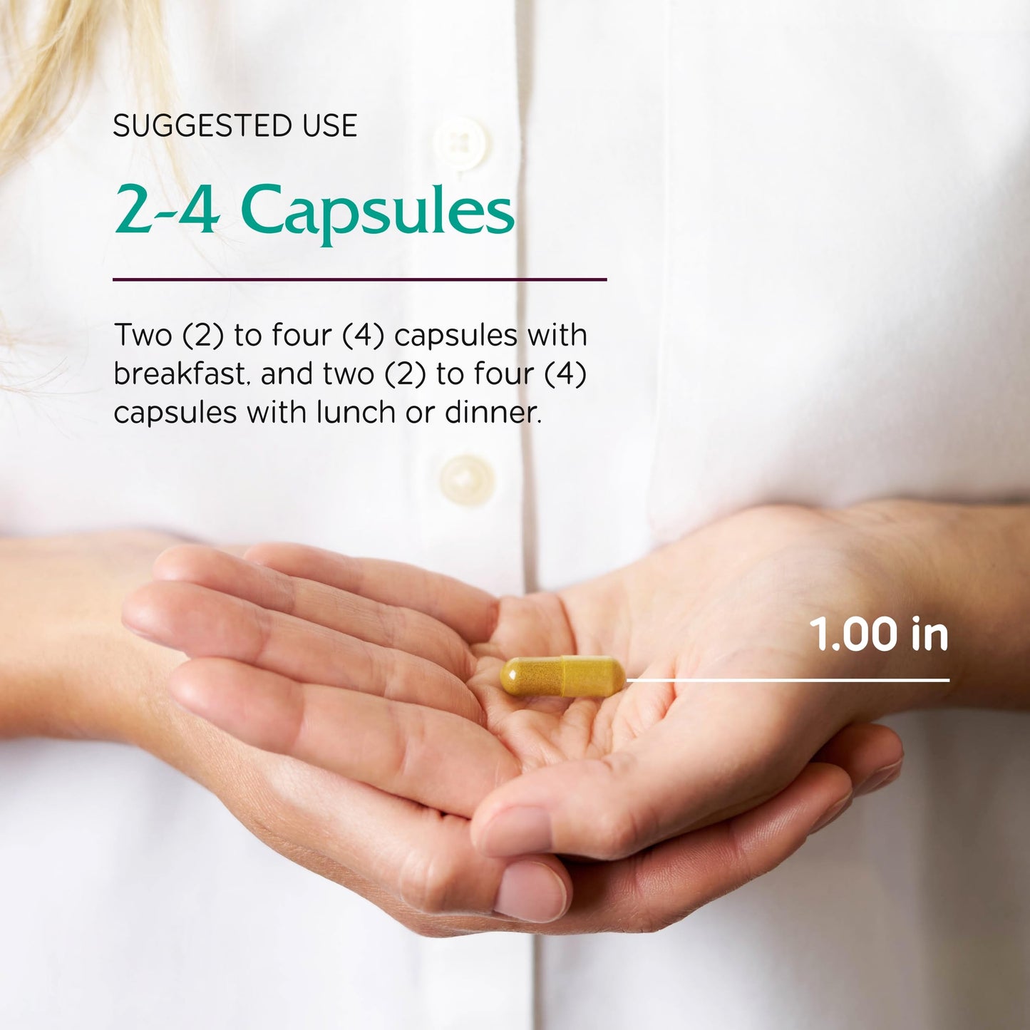 Vitanica Metabolic Manager 120 Capsules