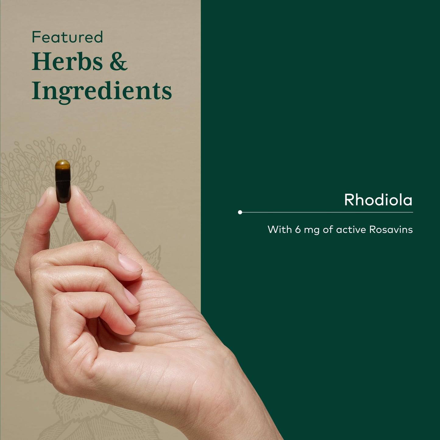 Gaia Herbs PRO Rhodiola Energy Support Adaptogen with Rhodiola Root Extract Capsule, 60 Capsules