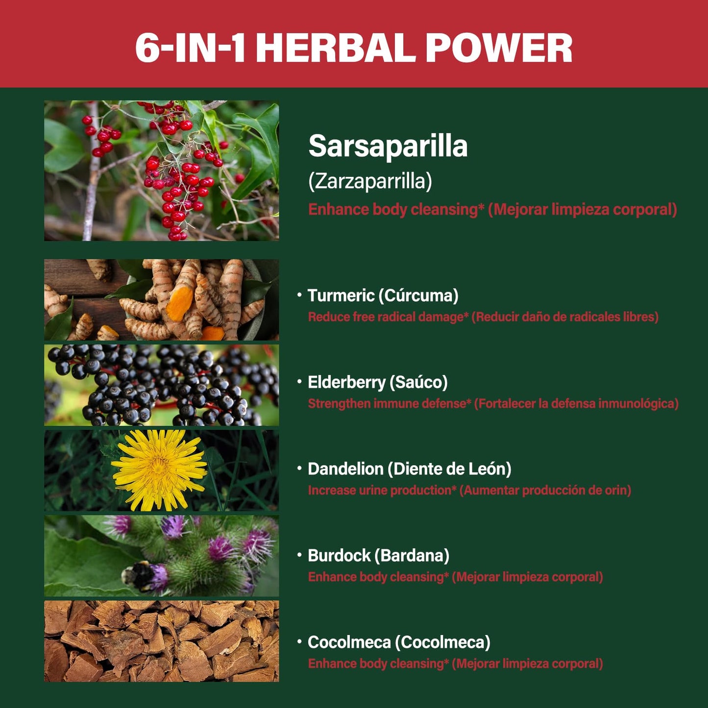 Verdeherb Sarsaparilla Root Capsules, 120 Count