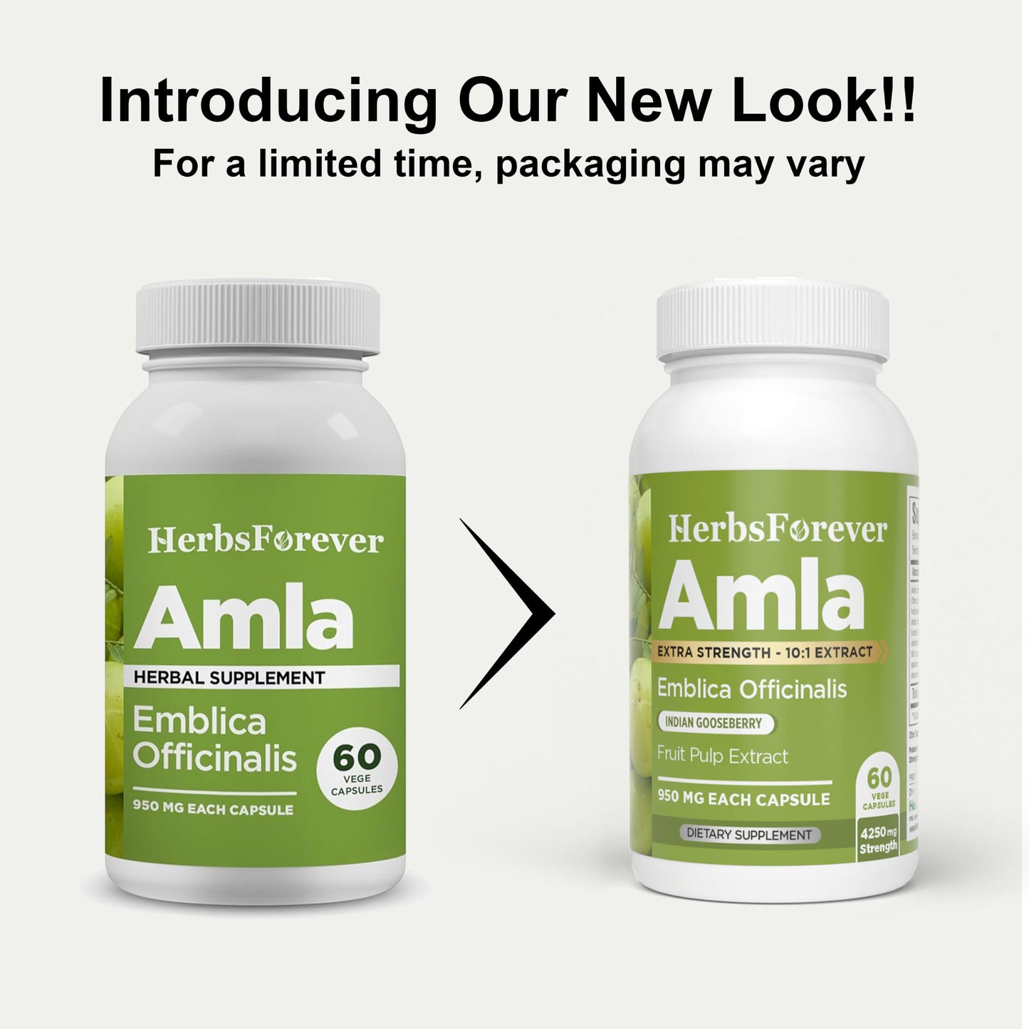 Herbsforever Amla (Indian Gooseberry) Capsules, 60 Count