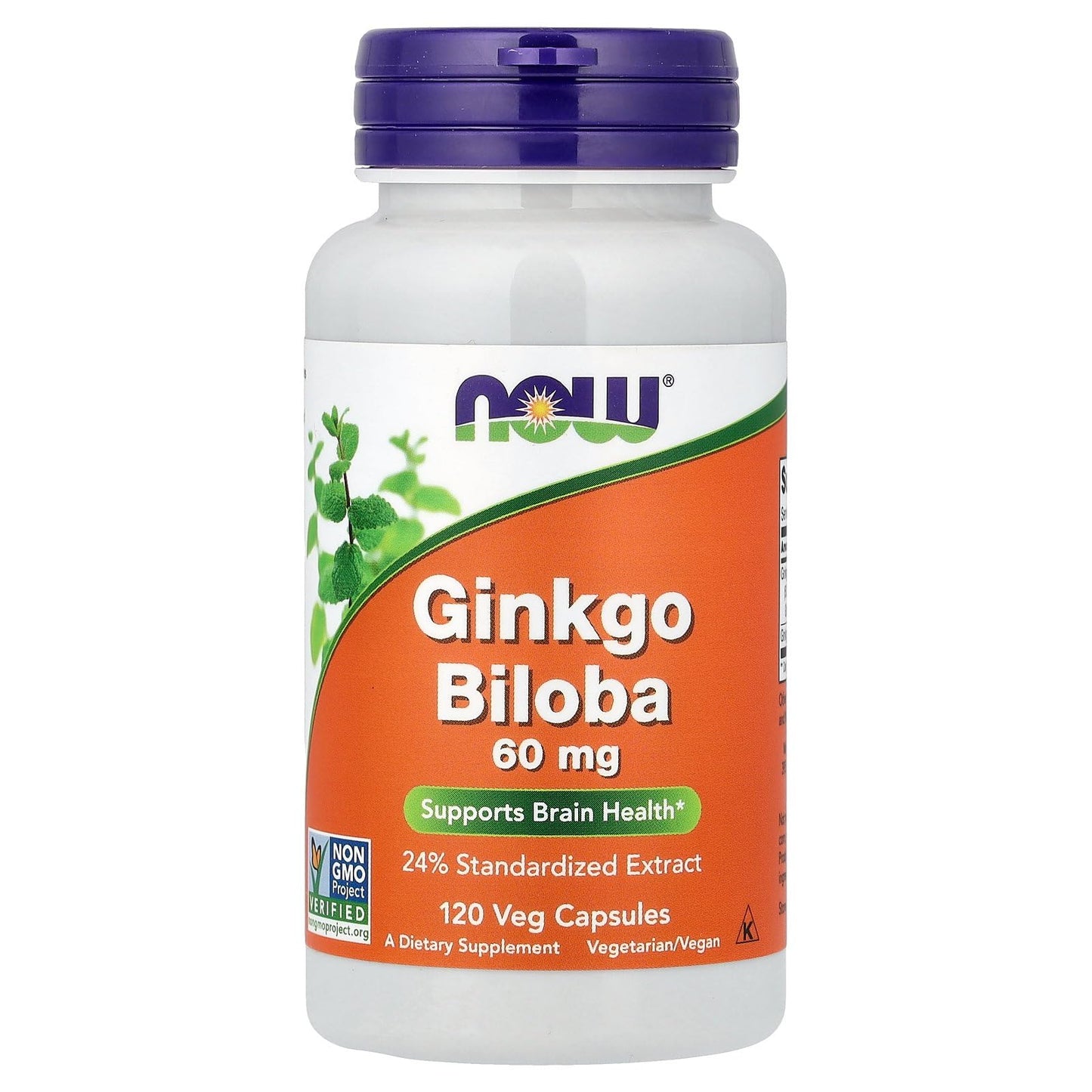 NOW Foods Ginkgo Biloba 60 mg Veg Capsules, 120 Count