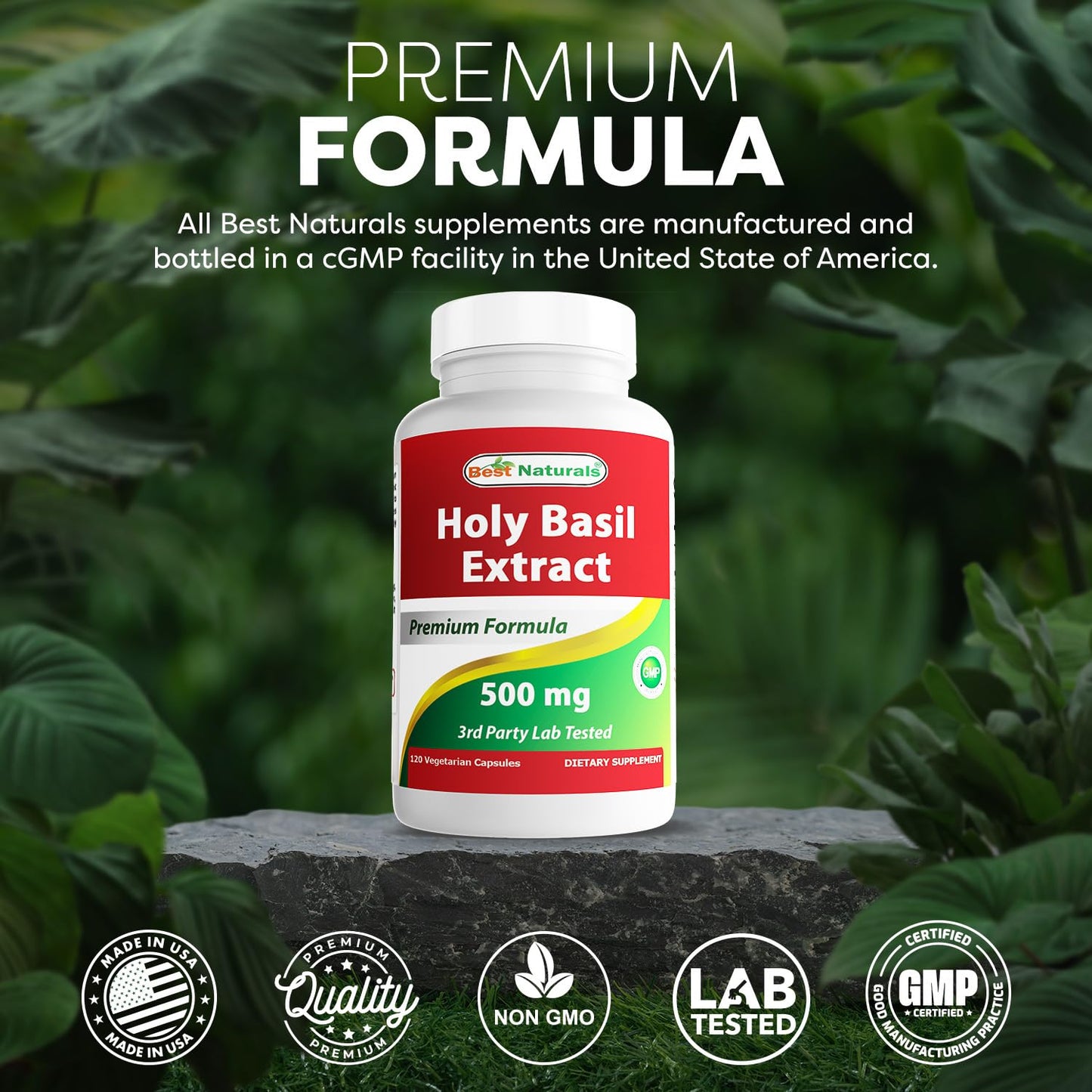 Best Naturals Holy Basil Extract 500 mg 240 Capsules