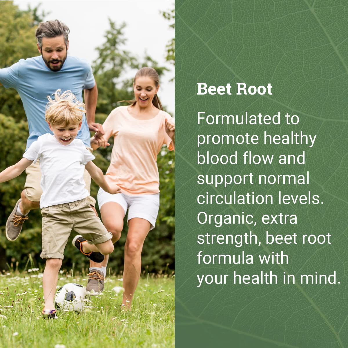 Earth Harmony Naturals Magnesium Glycinate 500 mg & Beet Root Powder Capsules, 120 Capsules Each, 2-Pack