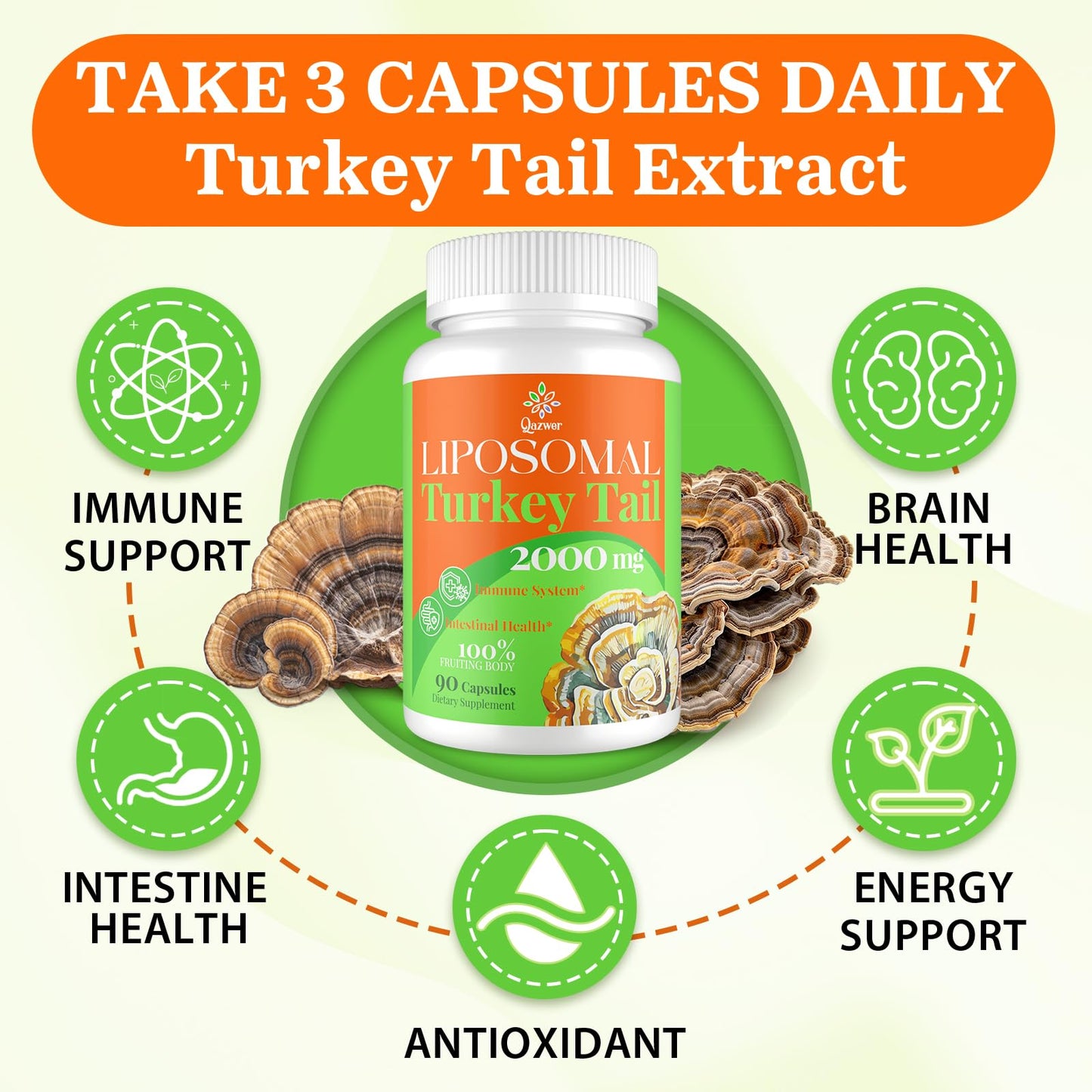 Qazwer Liposomal Turkey Tail Mushroom Capsules 90 Count