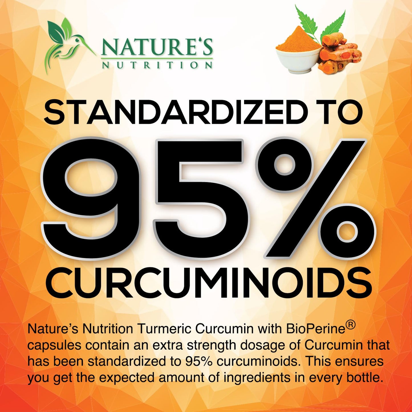 Nature's Nutrition Turmeric Curcumin Supplement 240 Capsules