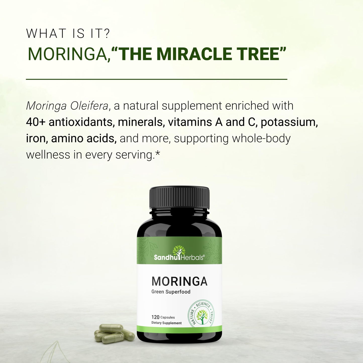 SANDHUHERBALS Pure Moringa Capsules, 120 Capsules