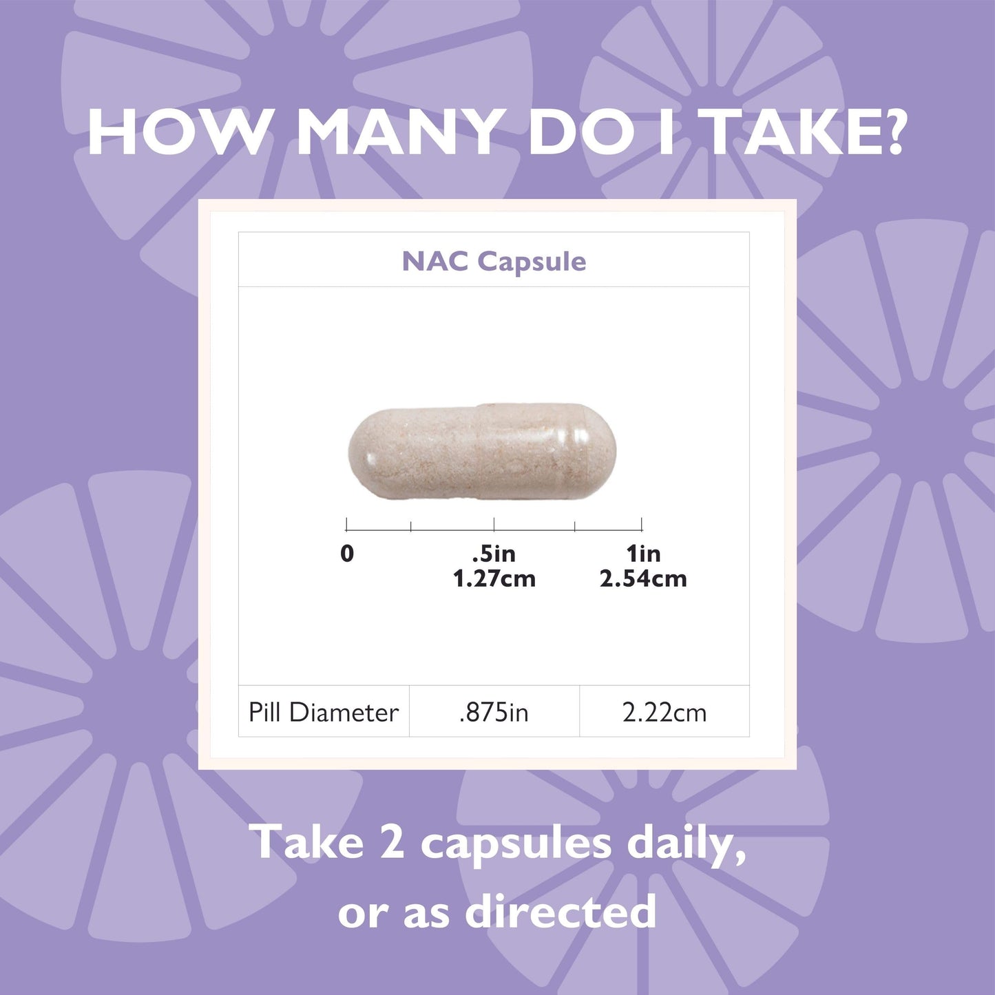 Celebrate Bariatric Supplements NAC (N-Acetyl Cysteine) Supplement Capsule 90 Count