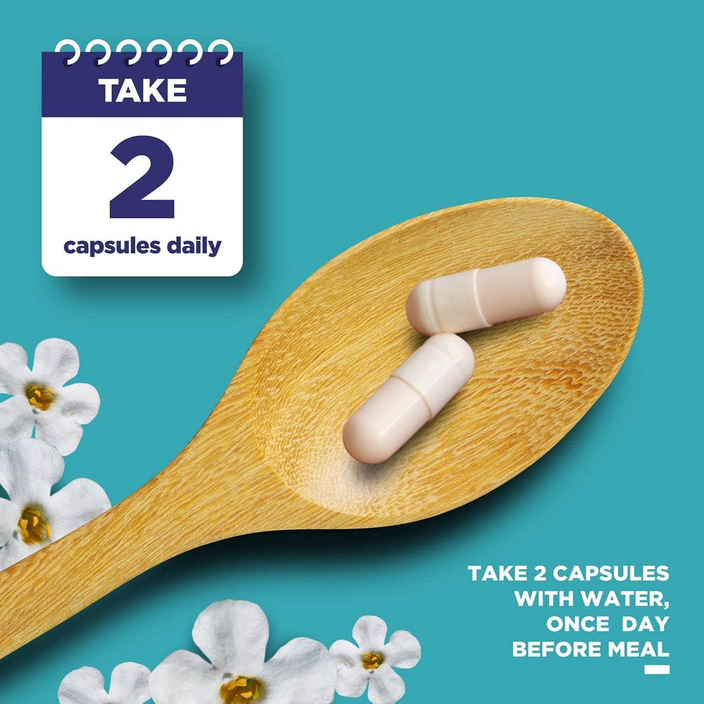 Phytoral Nootropic Brain Supplement for Memory and Focus Enhancement Capsule 60 Capsules